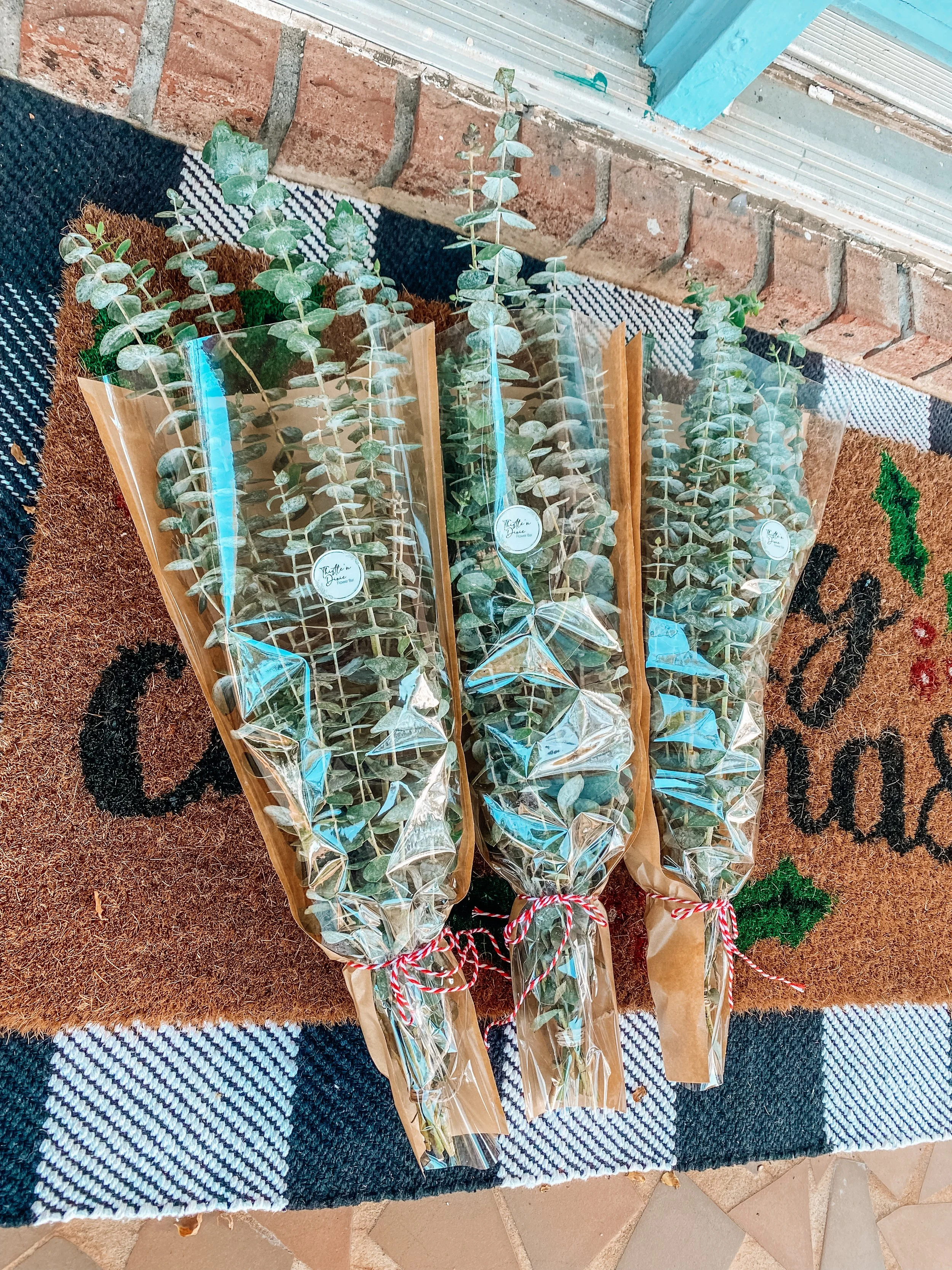 Eucalyptus shower steamers