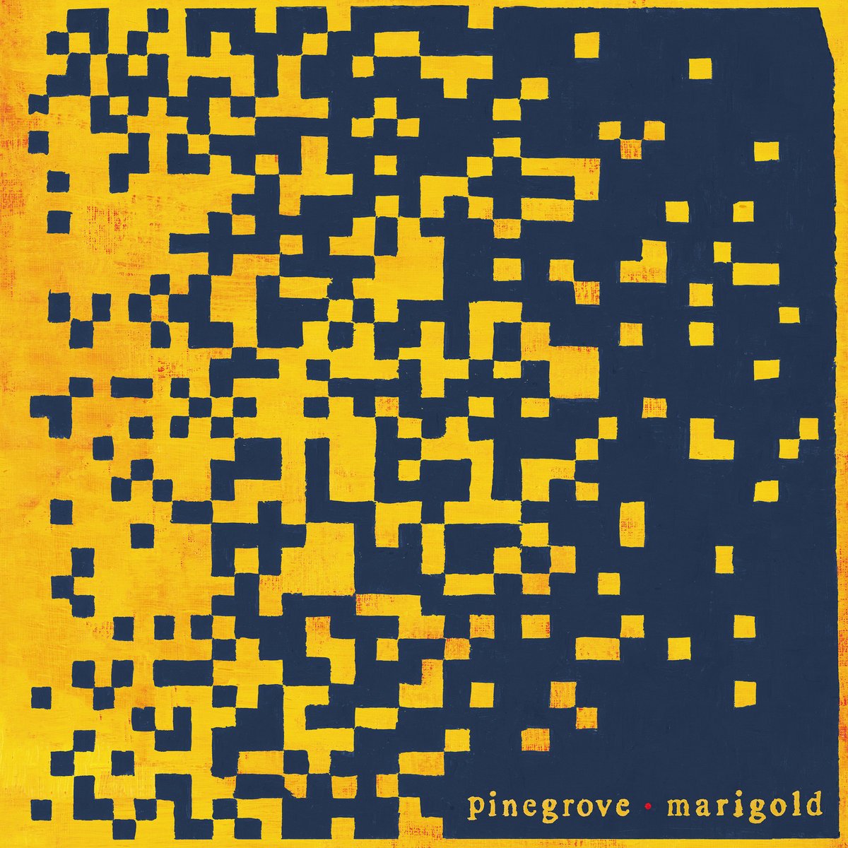 Pinegrove - Marigold guitar, pedal steel, baritone guitar, voice