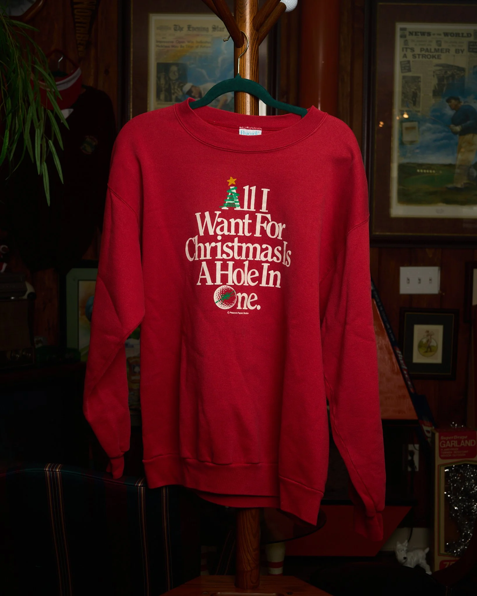 All I Want For Christmas