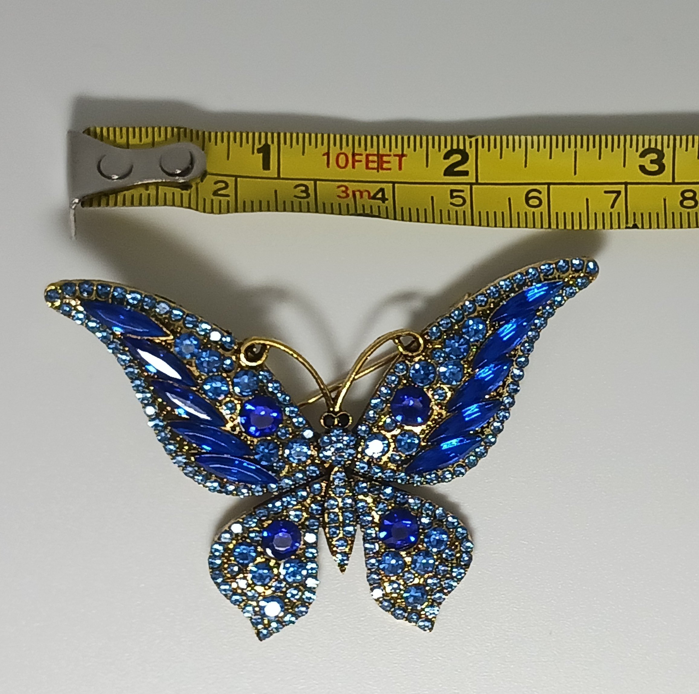 20241105_074657.jpg
