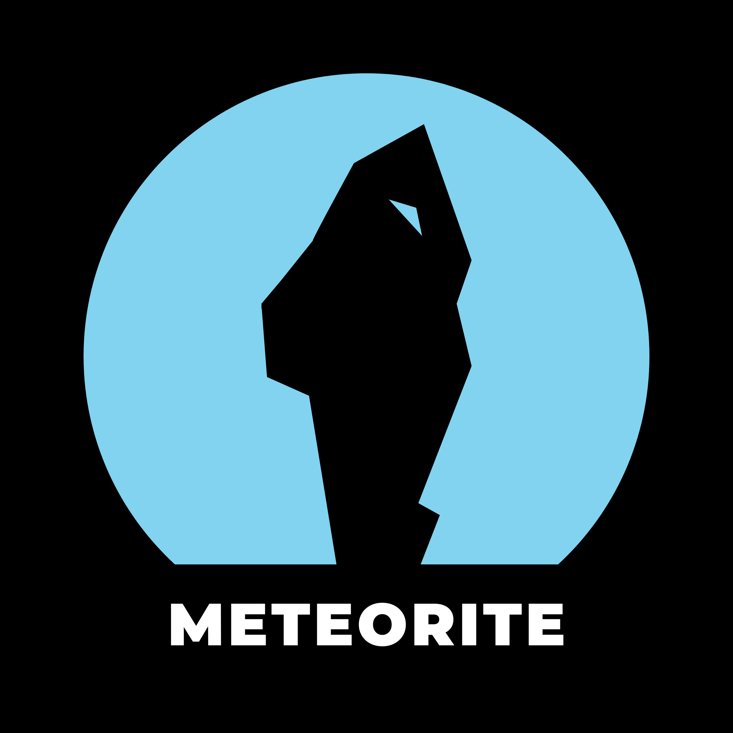METEORITE
