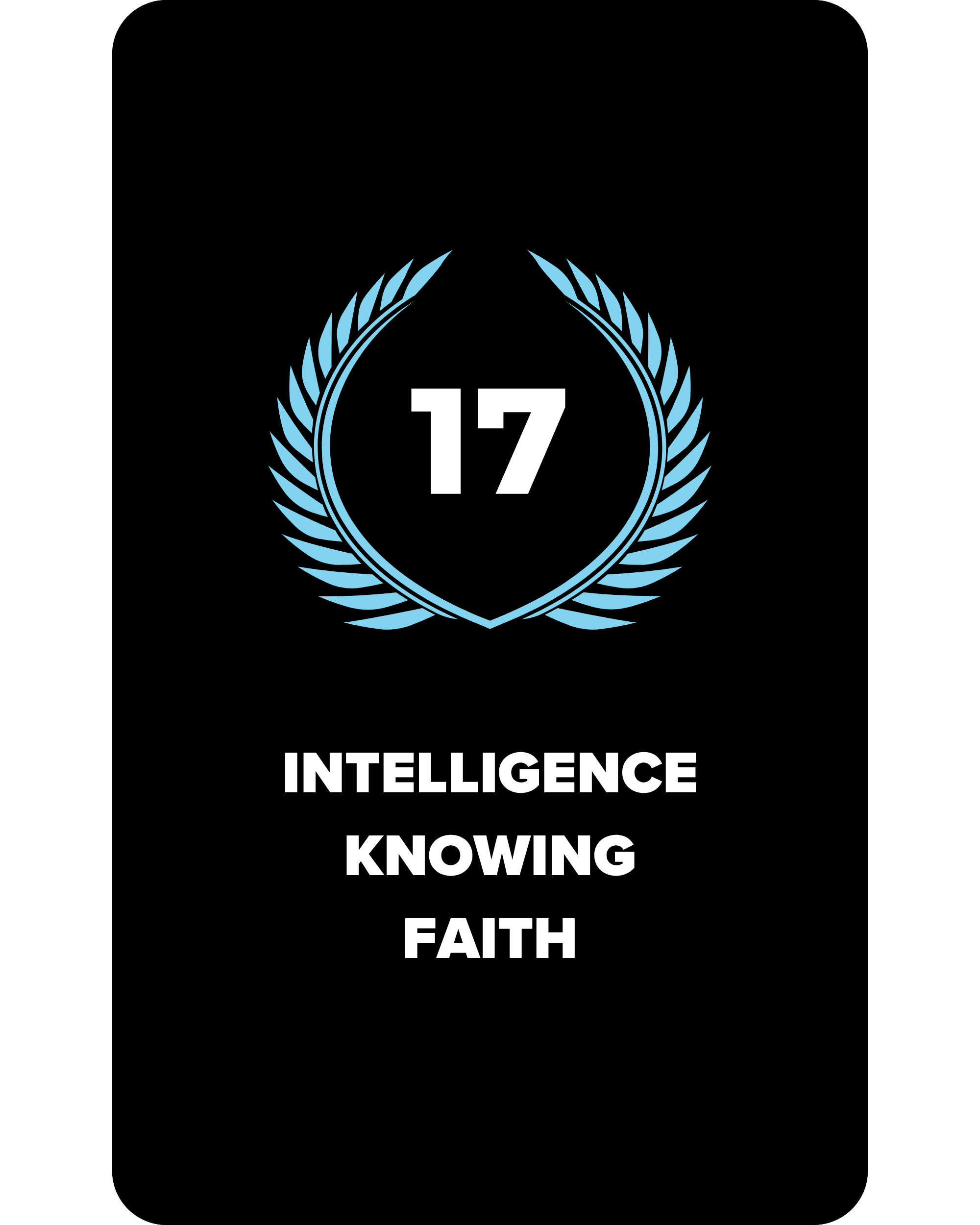 17.png