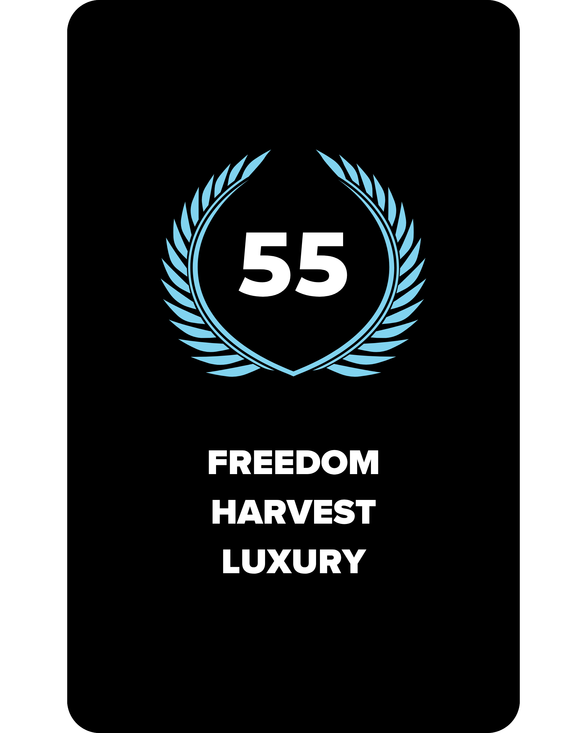 55.png