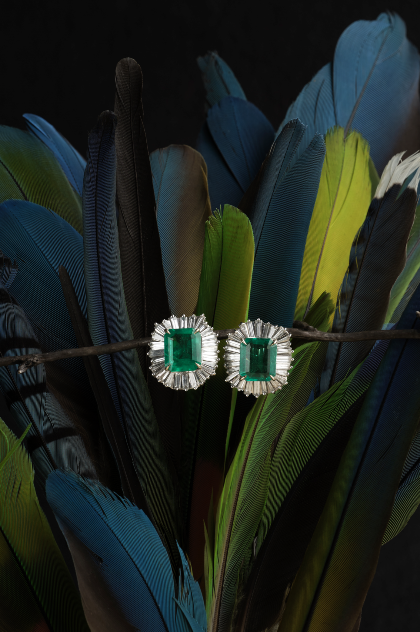 Captura de Pantalla 2024-07-14 a la(s) 1.13.34 a.m..png