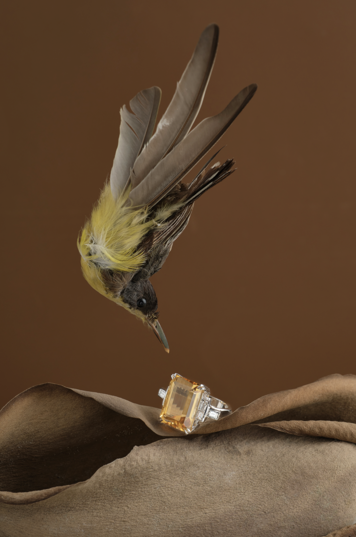 Captura de Pantalla 2024-07-14 a la(s) 1.12.52 a.m..png