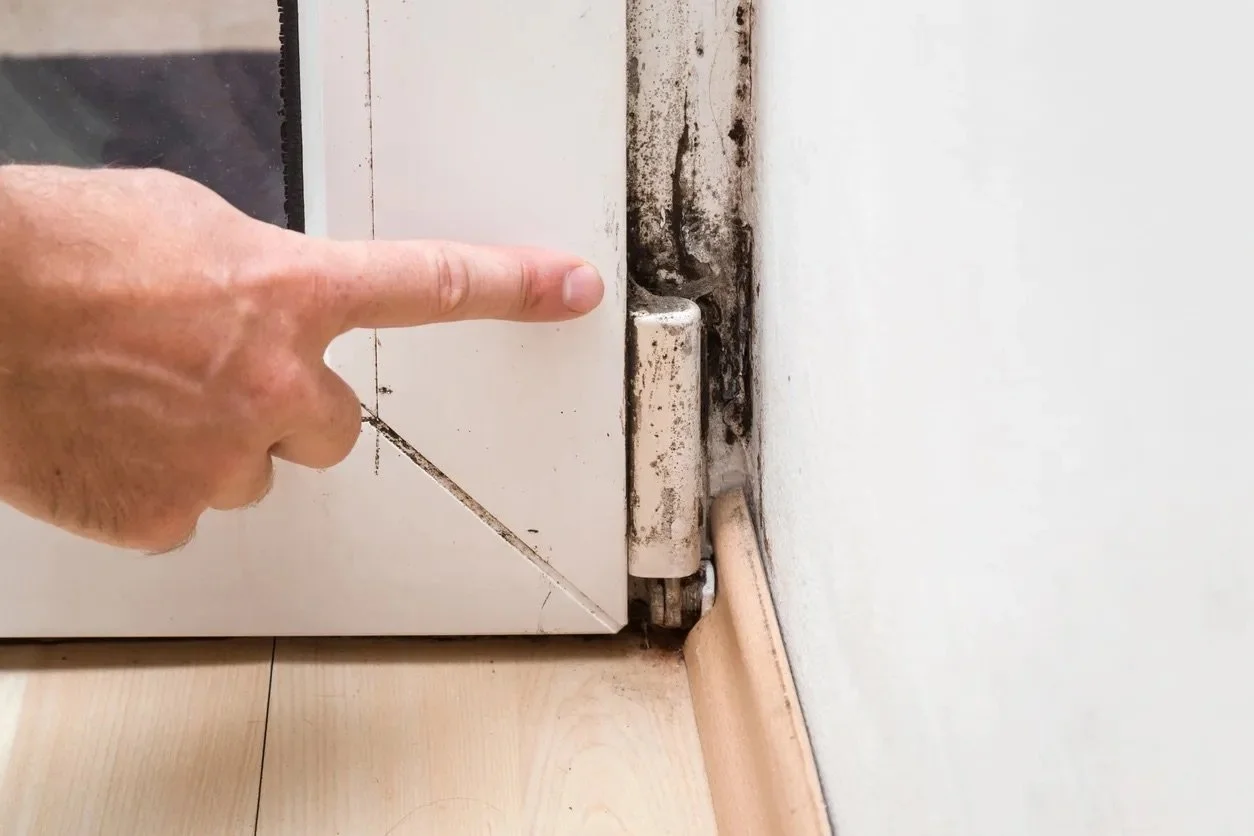 Condensation, mould and your health