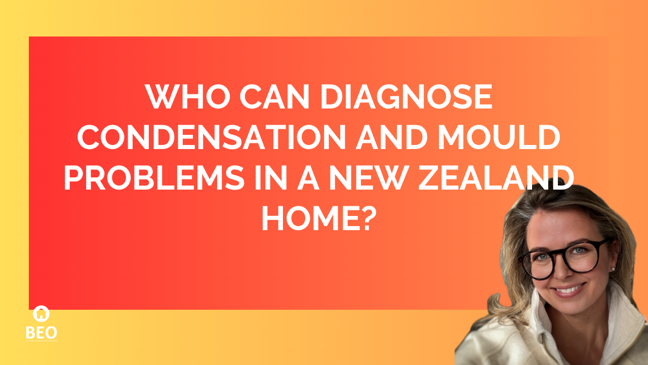 Who Can Diagnose Condensation and Mould Problems in a New Zealand Home?