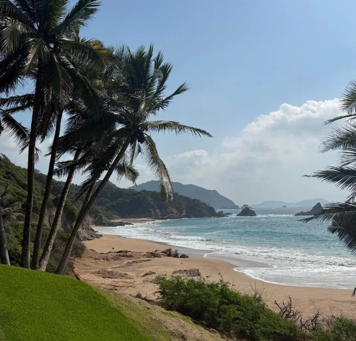 Don't Miss Important Tax Documents This Winter: Why Snowbirds Need Evergreen Local