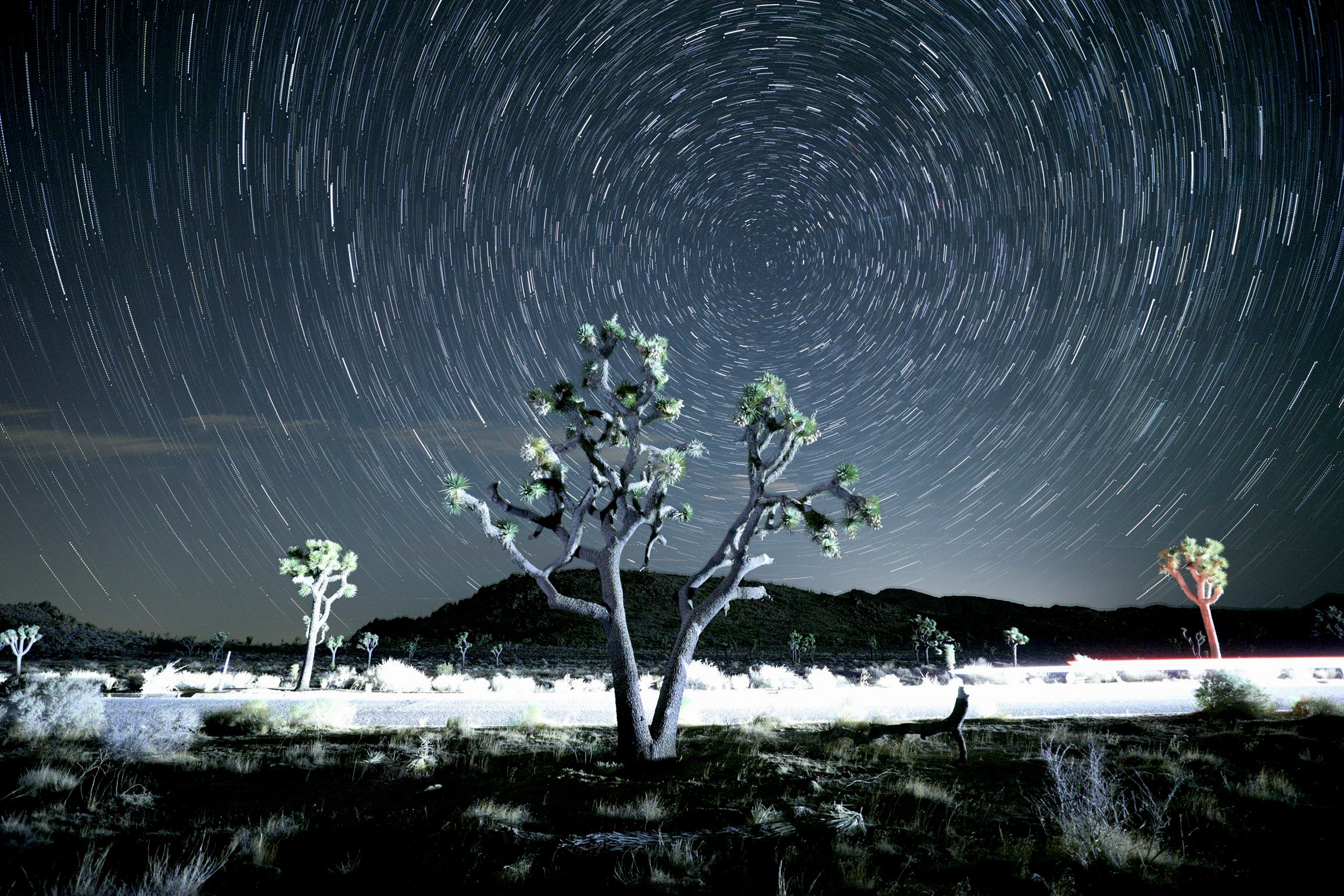 JoshuaTree Star Trail-9.jpg