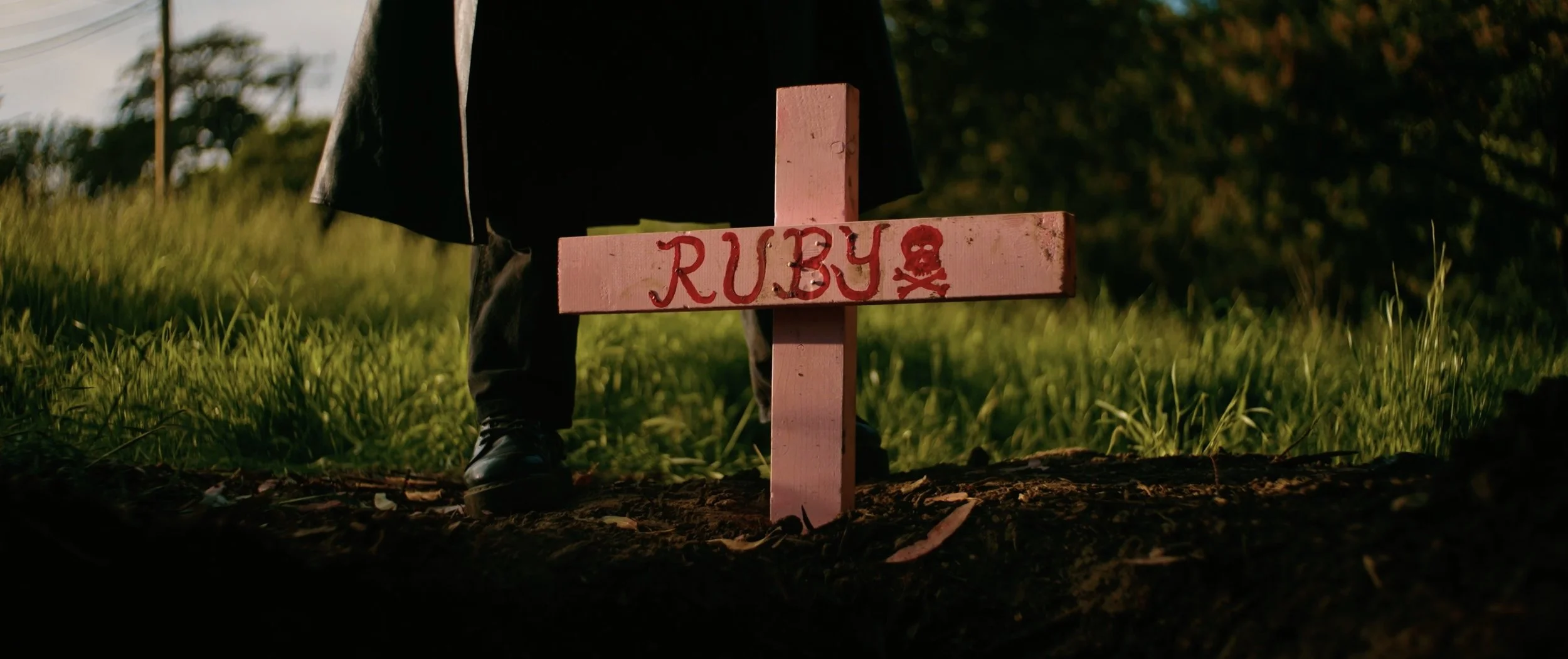 Red Ruby Still #2.jpeg