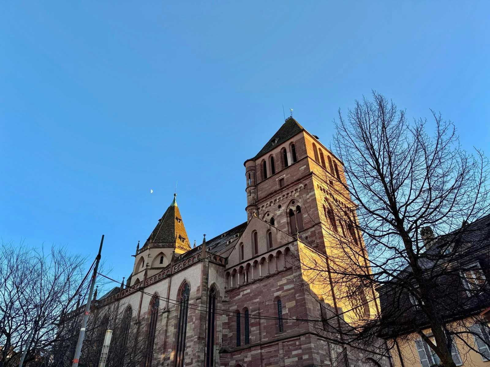 Saint Thomas Church, Strasbourg(photographed by Sarah Geis)