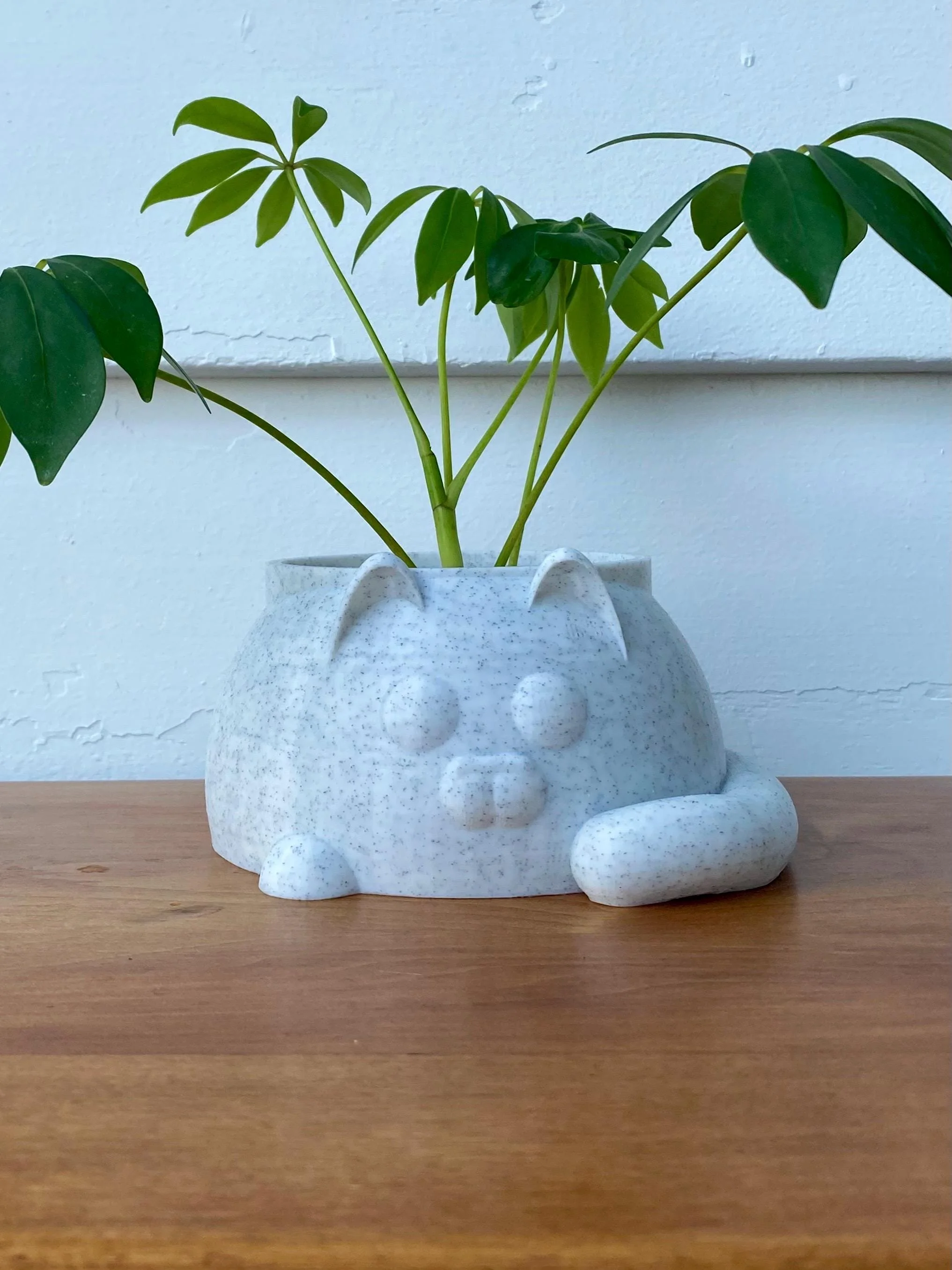https://i.etsystatic.com/53704382/r/il/1d1b6e/7201896422/il_fullxfull.7201896422_l1d5.jpg