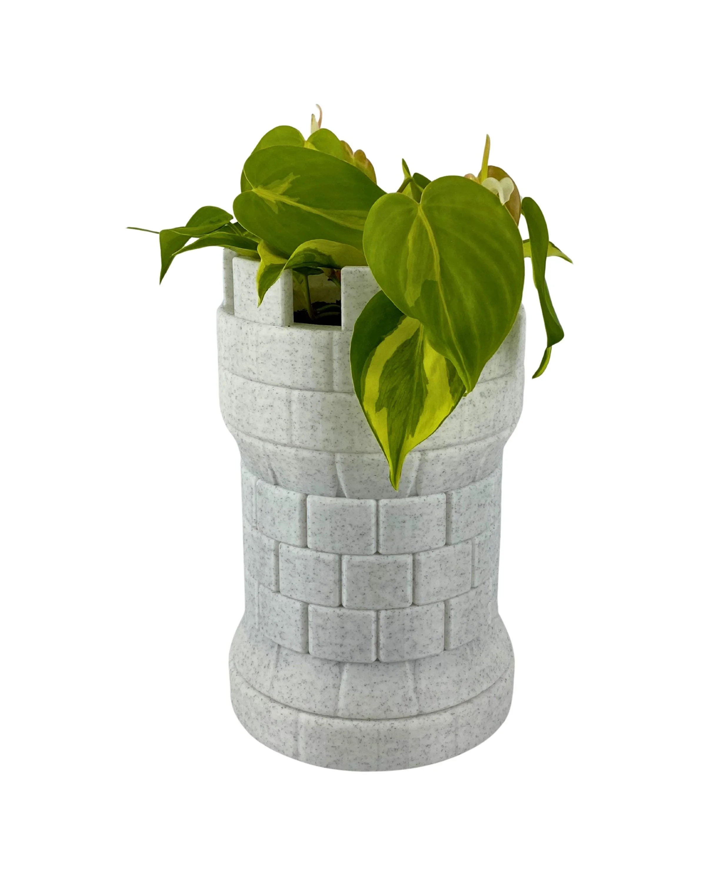 https://i.etsystatic.com/53704382/r/il/5062e5/7878003707/il_fullxfull.7878003707_tkfd.jpg