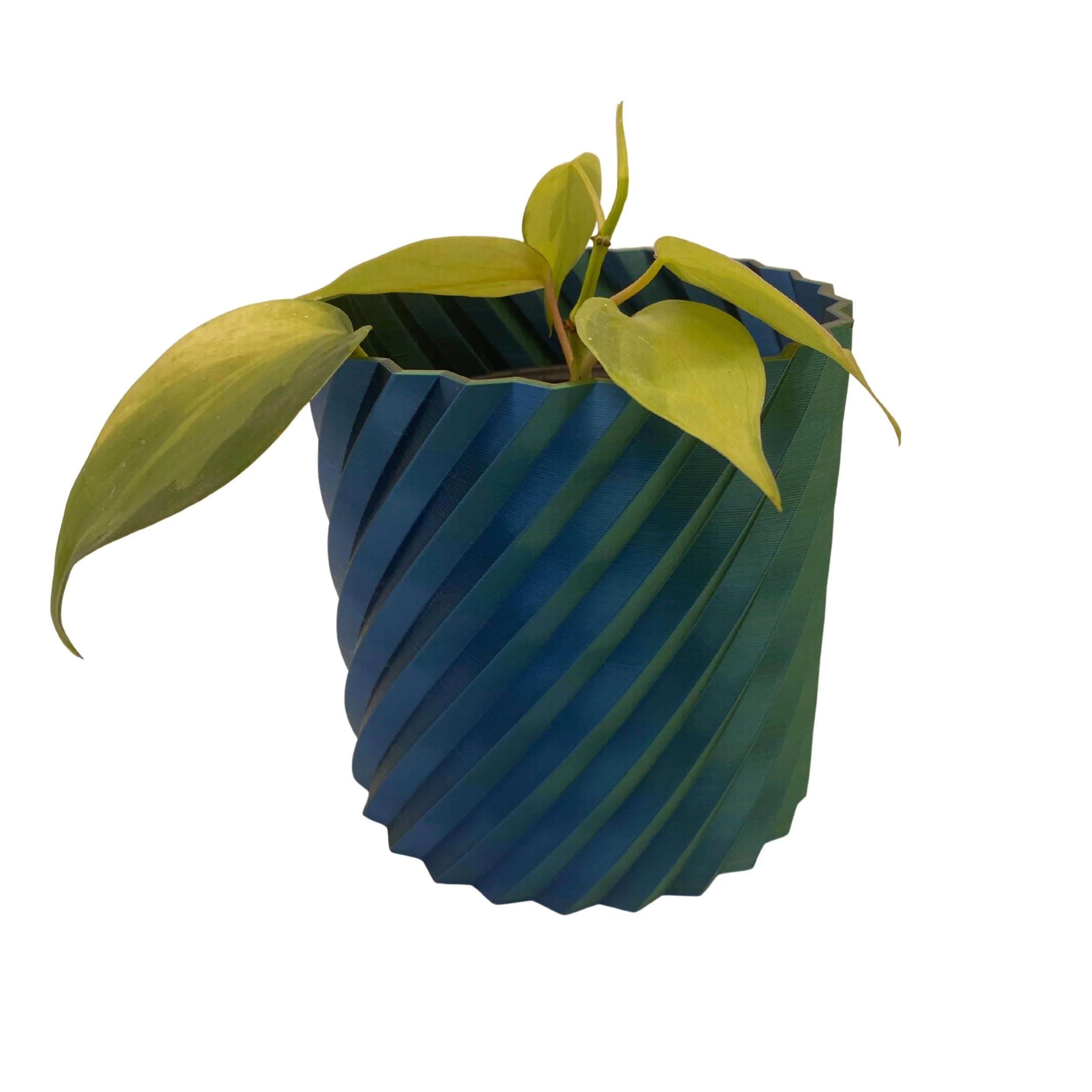 https://i.etsystatic.com/53704382/r/il/3e9a95/7073788444/il_fullxfull.7073788444_2nux.jpg