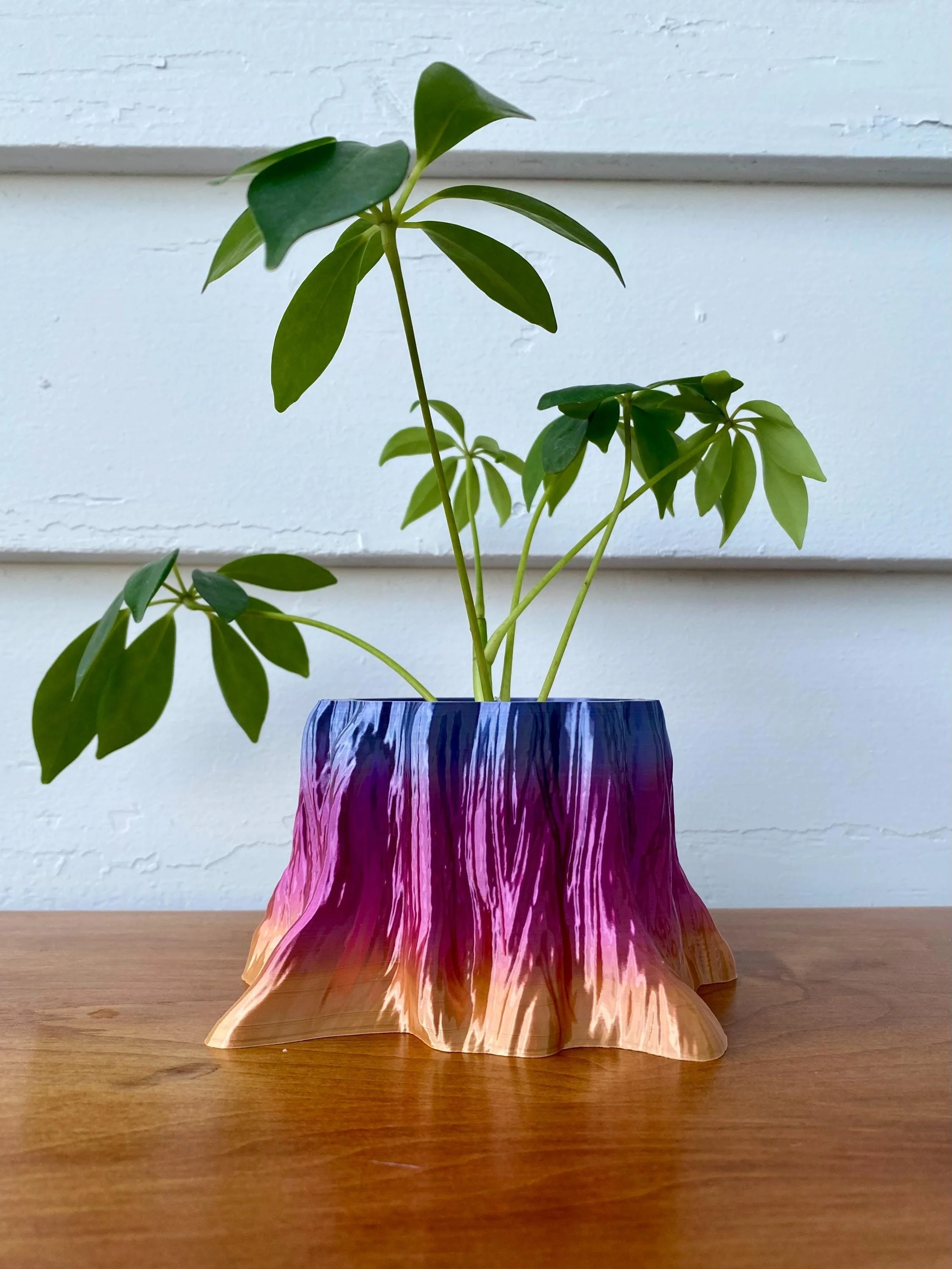https://i.etsystatic.com/53704382/r/il/e3c89e/7201902258/il_fullxfull.7201902258_jo4i.jpg