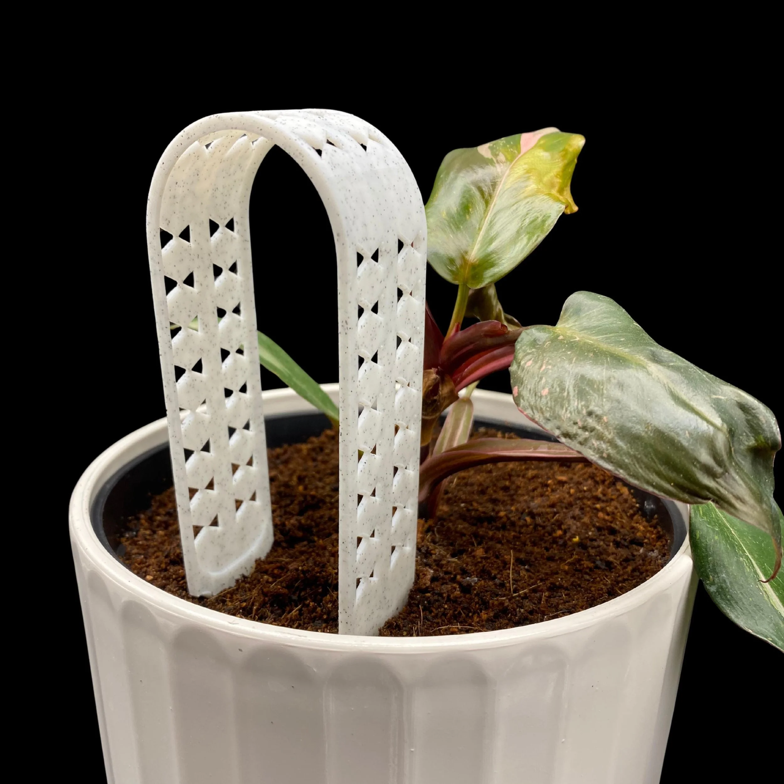 https://i.etsystatic.com/53704382/r/il/79e716/7251499068/il_fullxfull.7251499068_hile.jpg