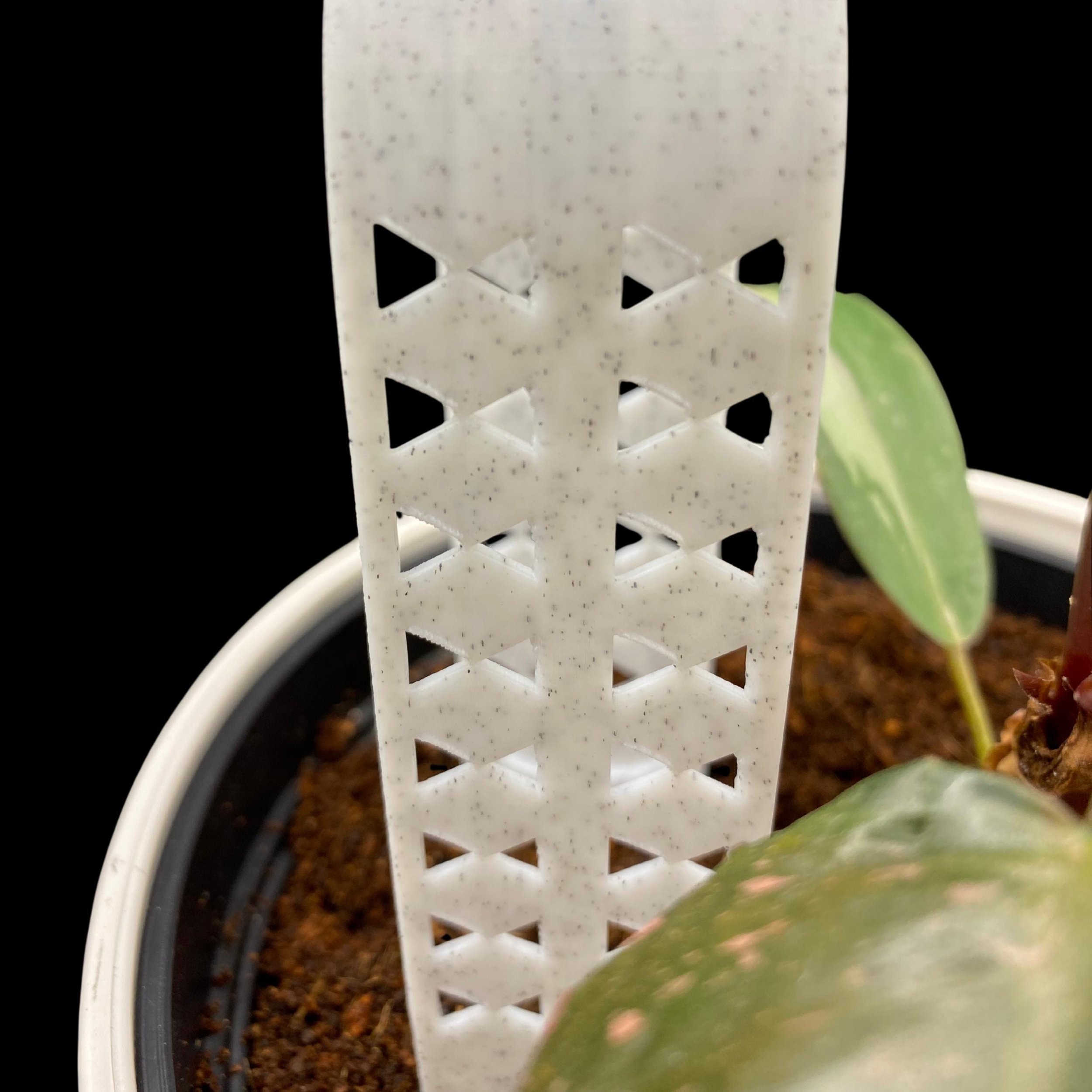 https://i.etsystatic.com/53704382/r/il/5eebc6/7251499054/il_fullxfull.7251499054_czq5.jpg