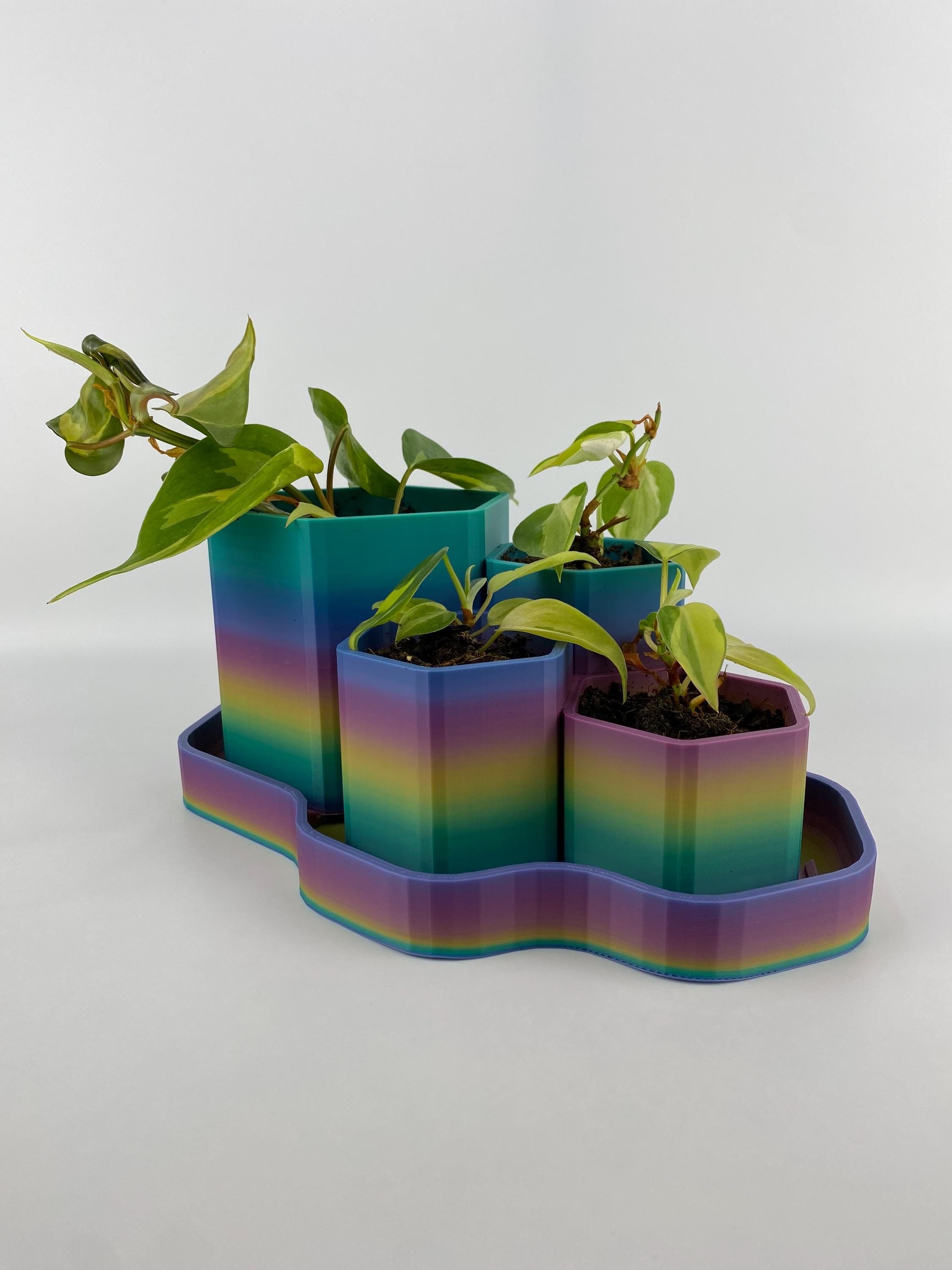https://i.etsystatic.com/53704382/r/il/5e9ca7/8017601534/il_fullxfull.8017601534_202e.jpg