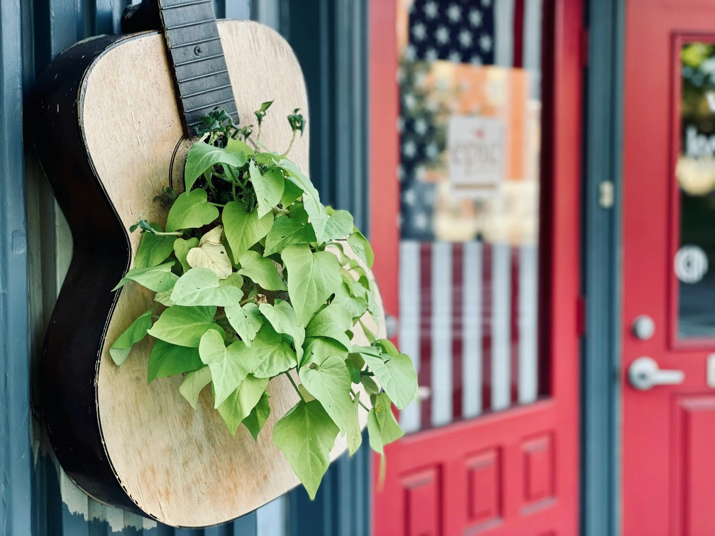Creative Planter Ideas That Bring Personality to Your Plants