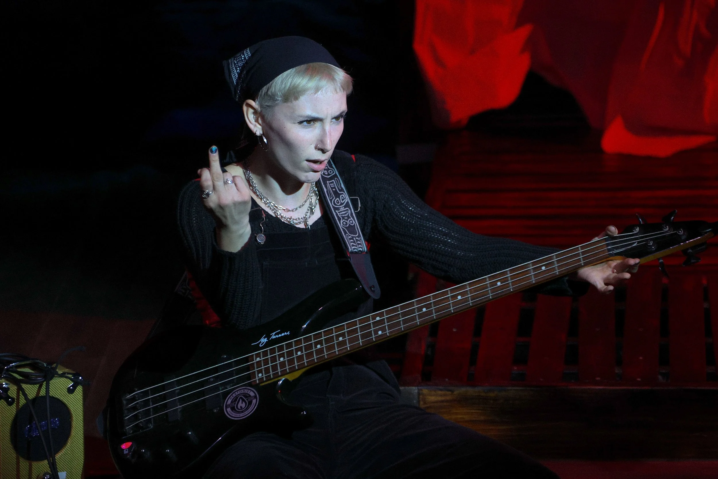 20250725 Stupid Fucking Bird 001.JPEG