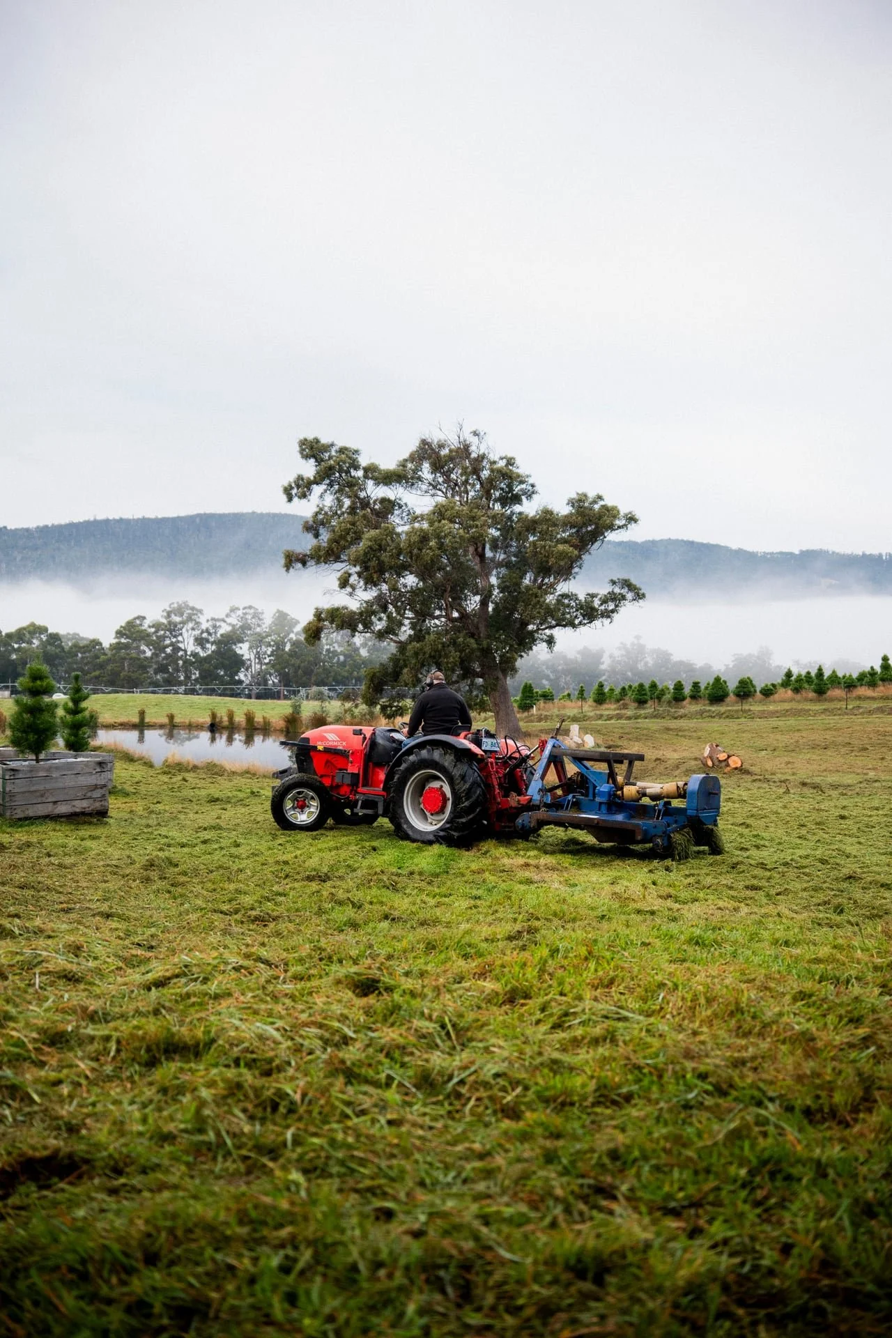Huon_River_Downs_Brand_Shoot_27.jpg