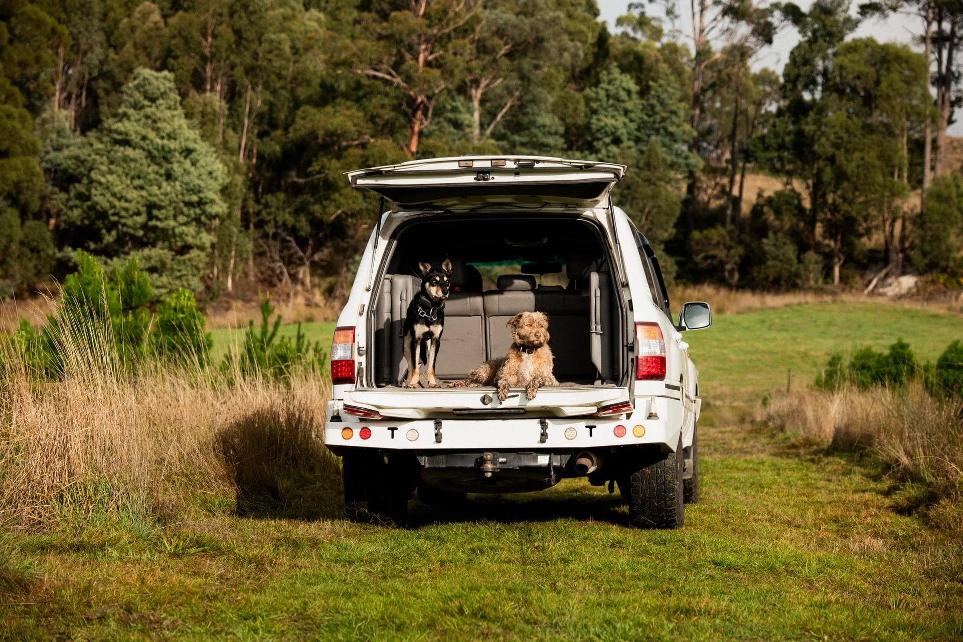 Huon_River_Downs_Brand_Shoot_171.jpg