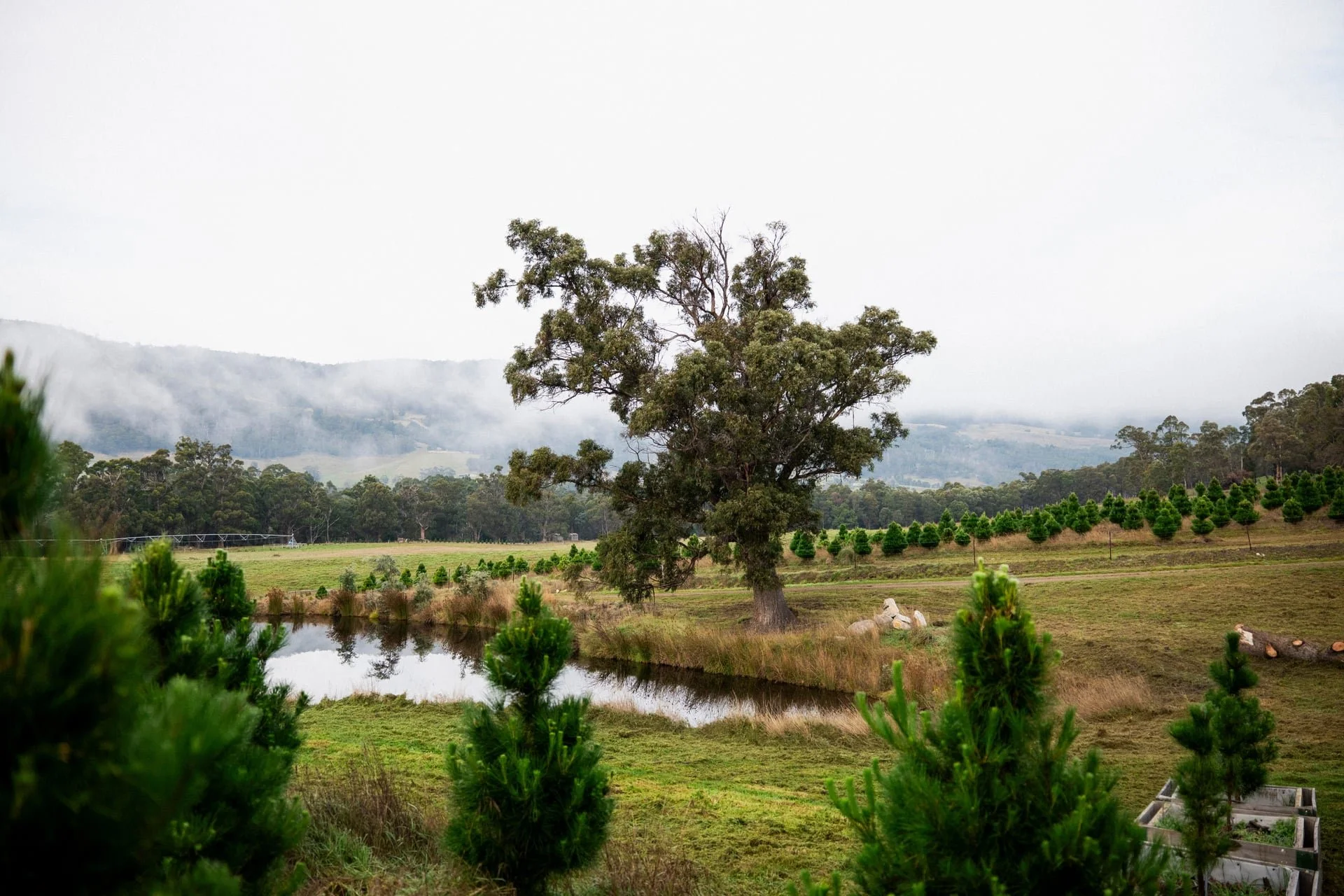 Huon_River_Downs_Brand_Shoot_111.jpg