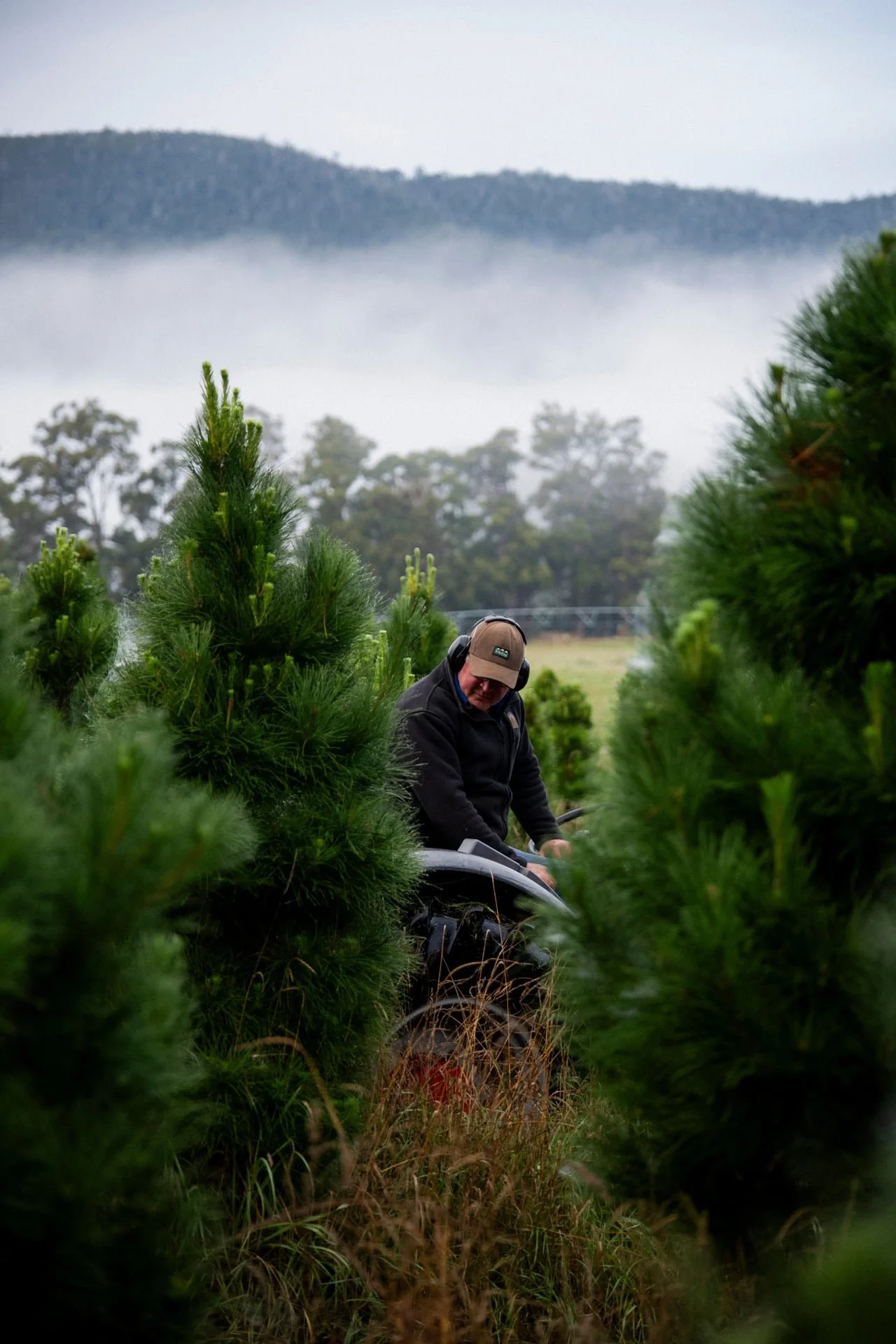 Huon_River_Downs_Brand_Shoot_20.jpg