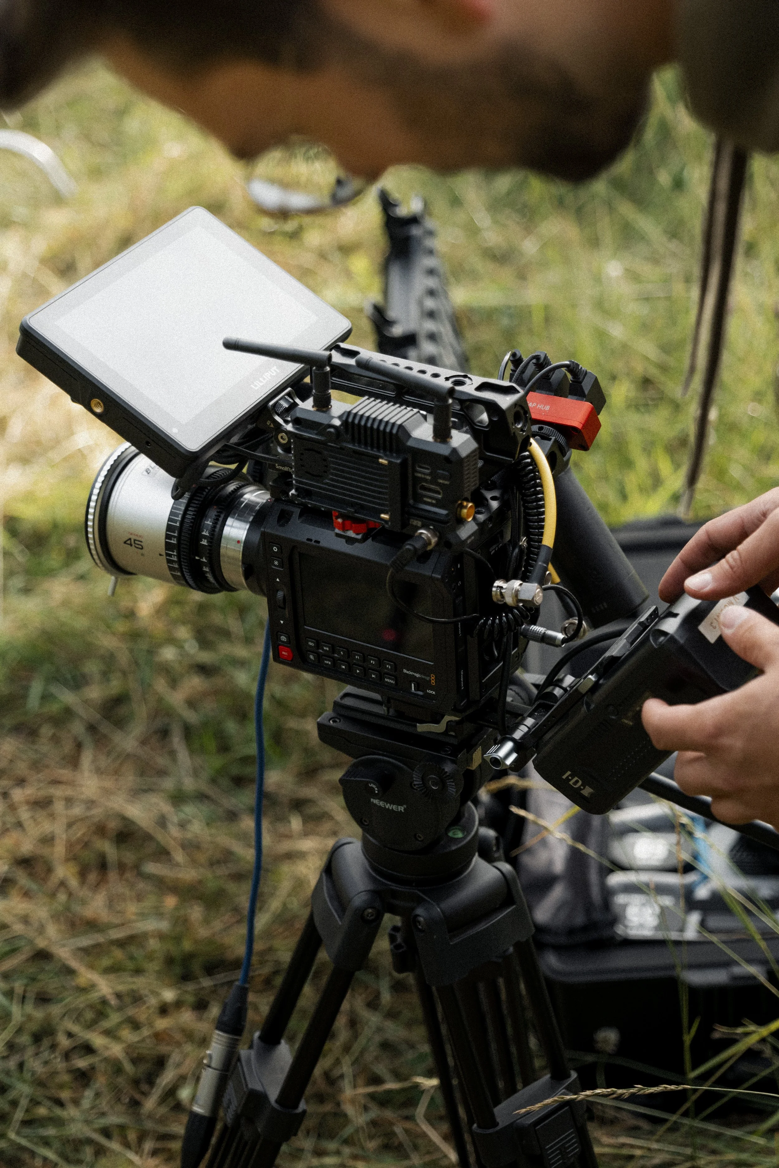 BTS - Coaldale Walnuts_3.jpg