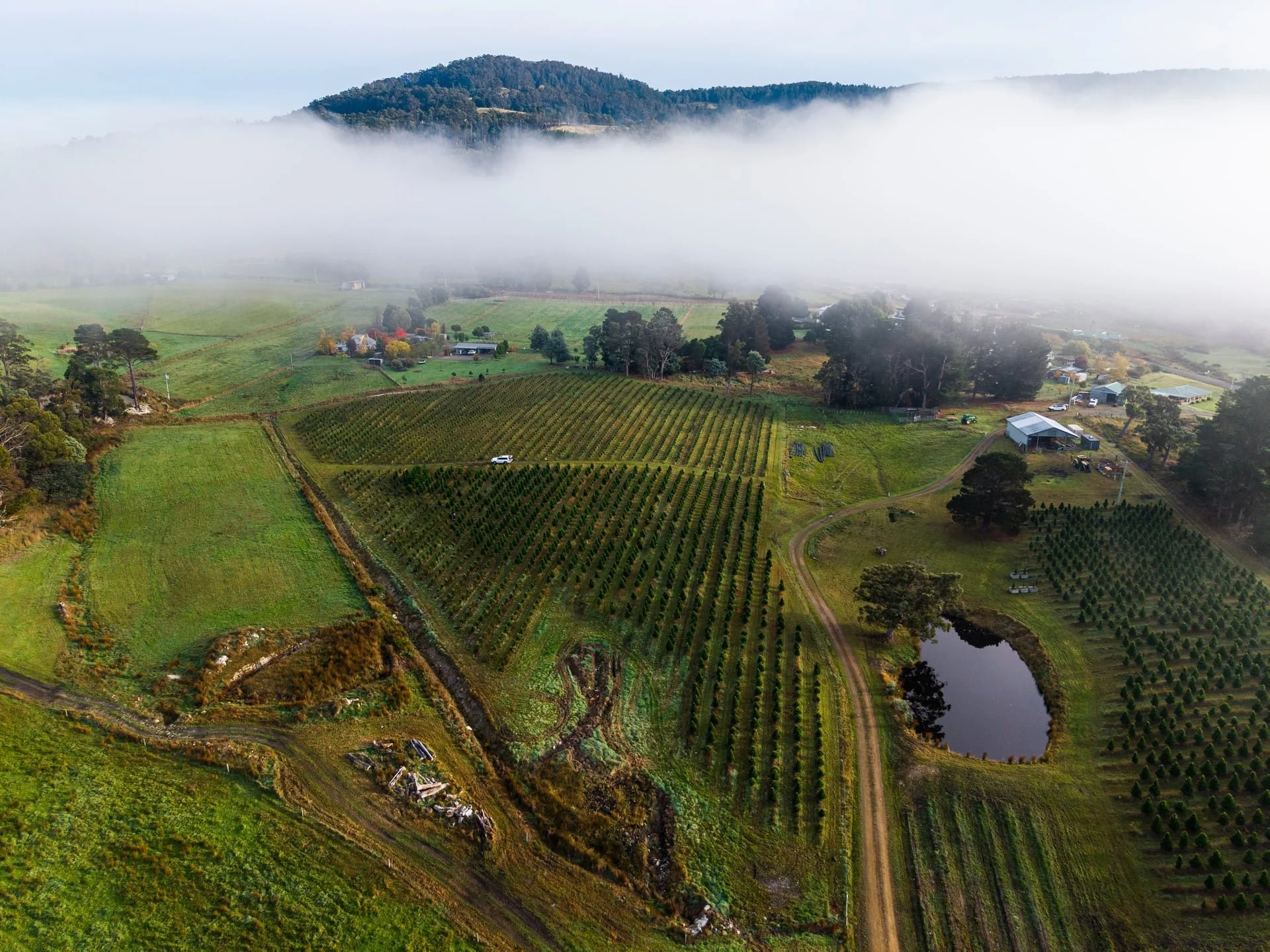 Huon_River_Downs_Brand_Shoot_Drone_18.jpg