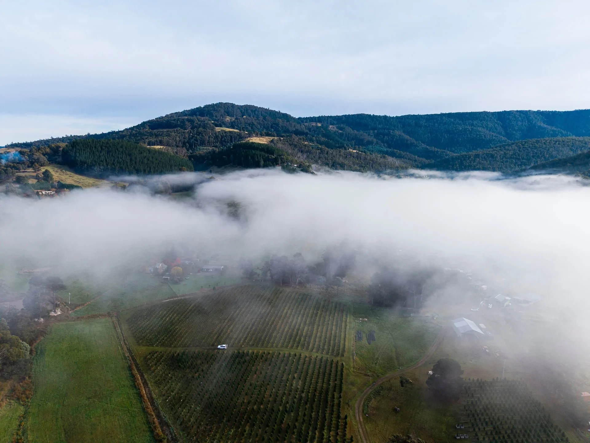 Huon_River_Downs_Brand_Shoot_Drone_21.jpg