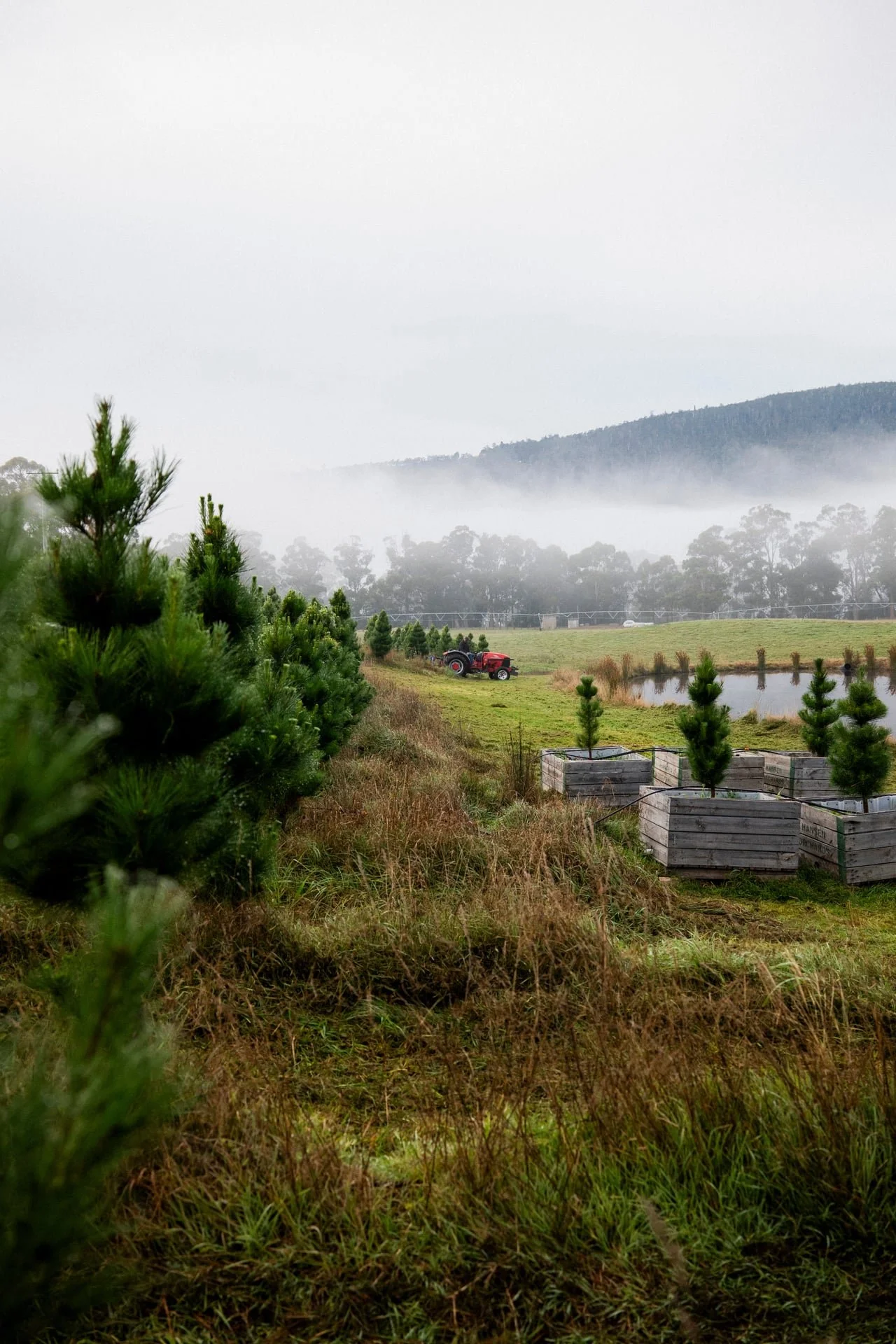 Huon_River_Downs_Brand_Shoot_42.jpg