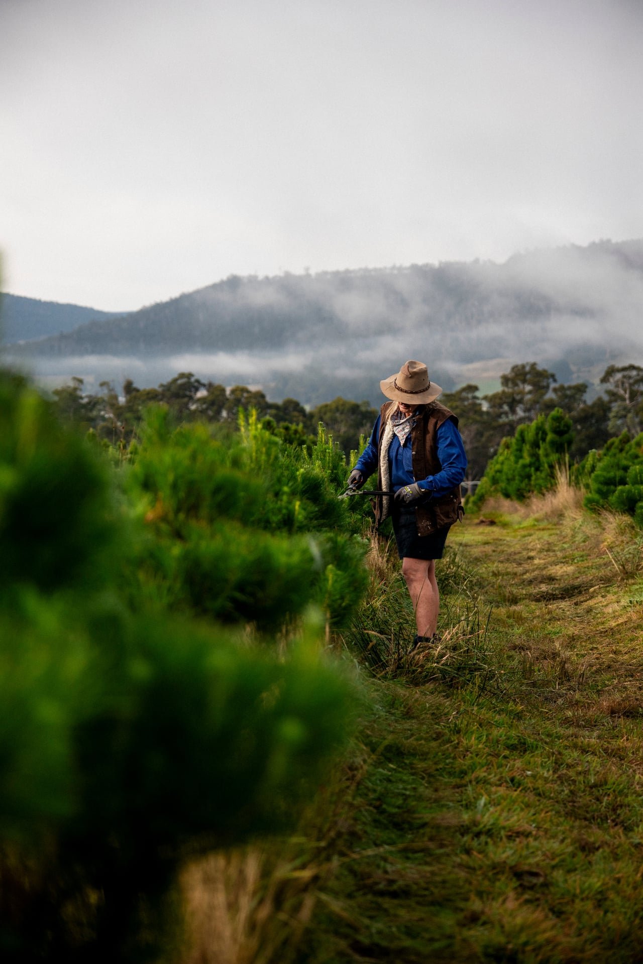 Huon_River_Downs_Brand_Shoot_140.jpg