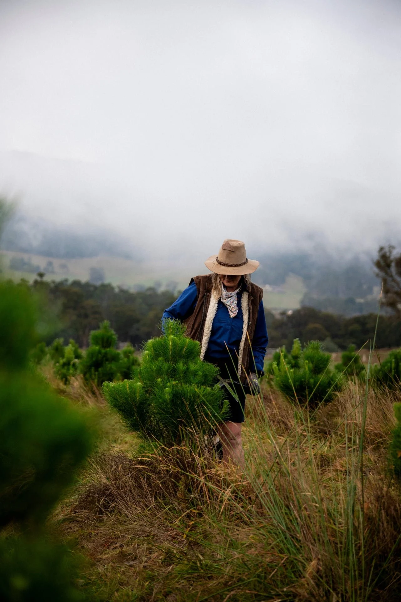 Huon_River_Downs_Brand_Shoot_126.jpg
