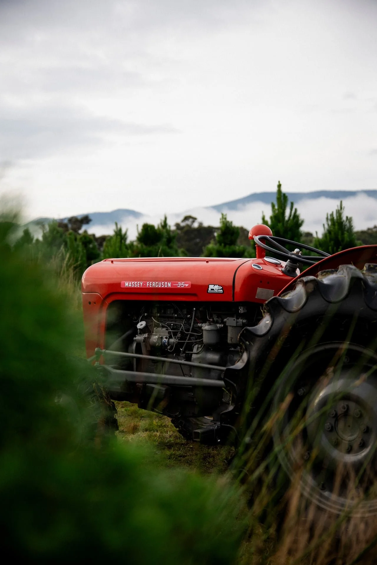 Huon_River_Downs_Brand_Shoot_100.jpg