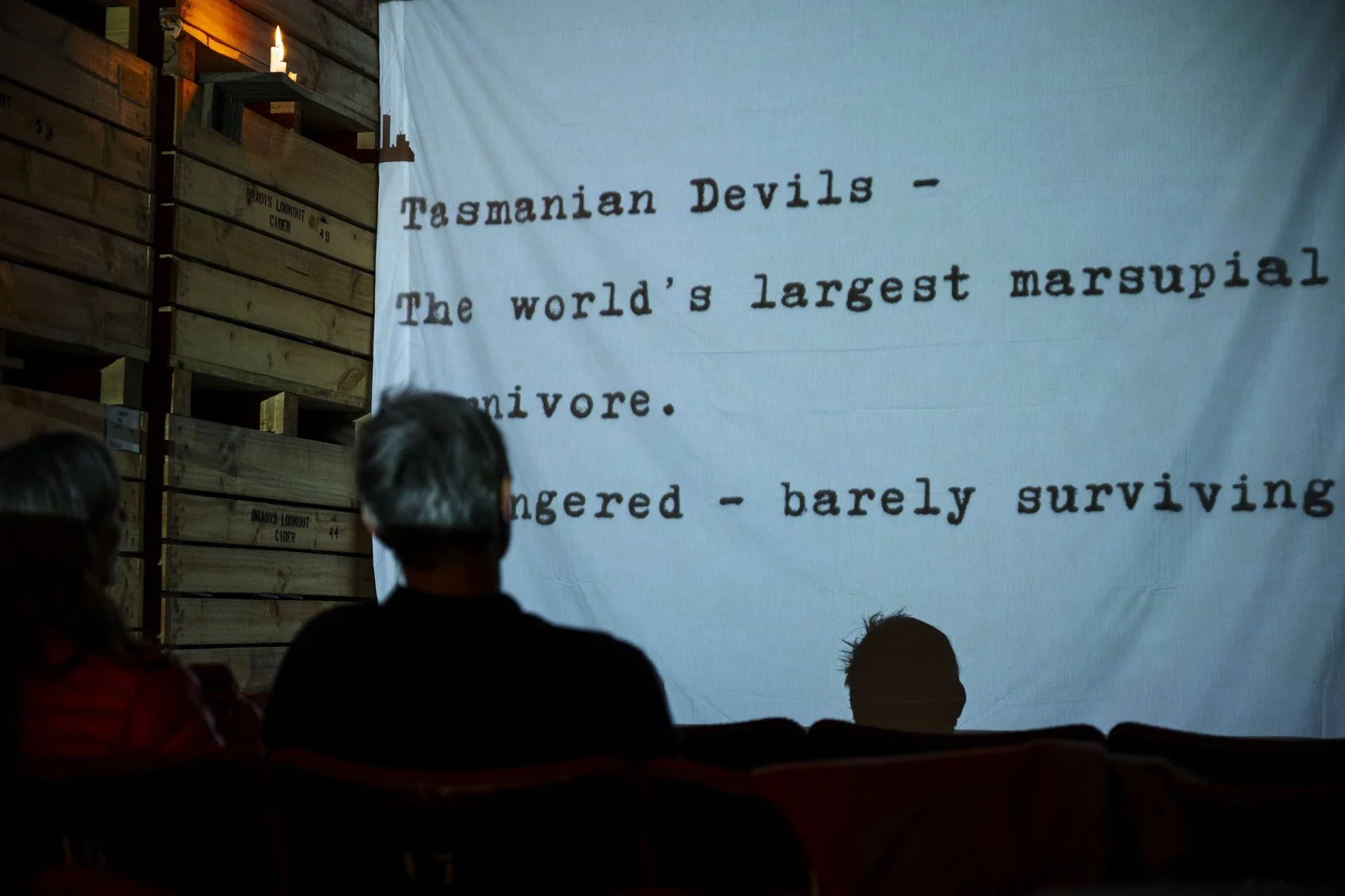 People watching a presentation about Tasmanian devils, described as the world's largest marsupial carnivore, with a background of wooden crates and a large screen.