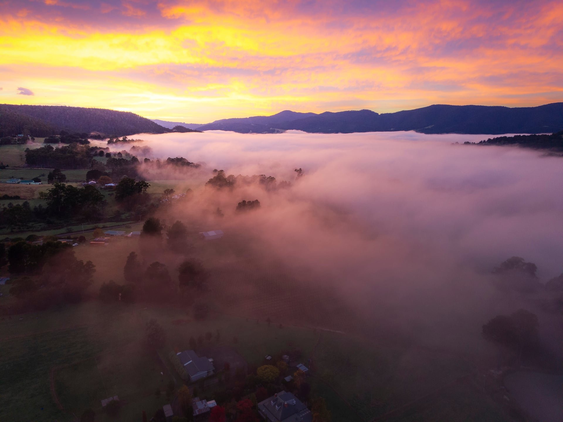 Huon_River_Downs_Brand_Shoot_Drone.jpg