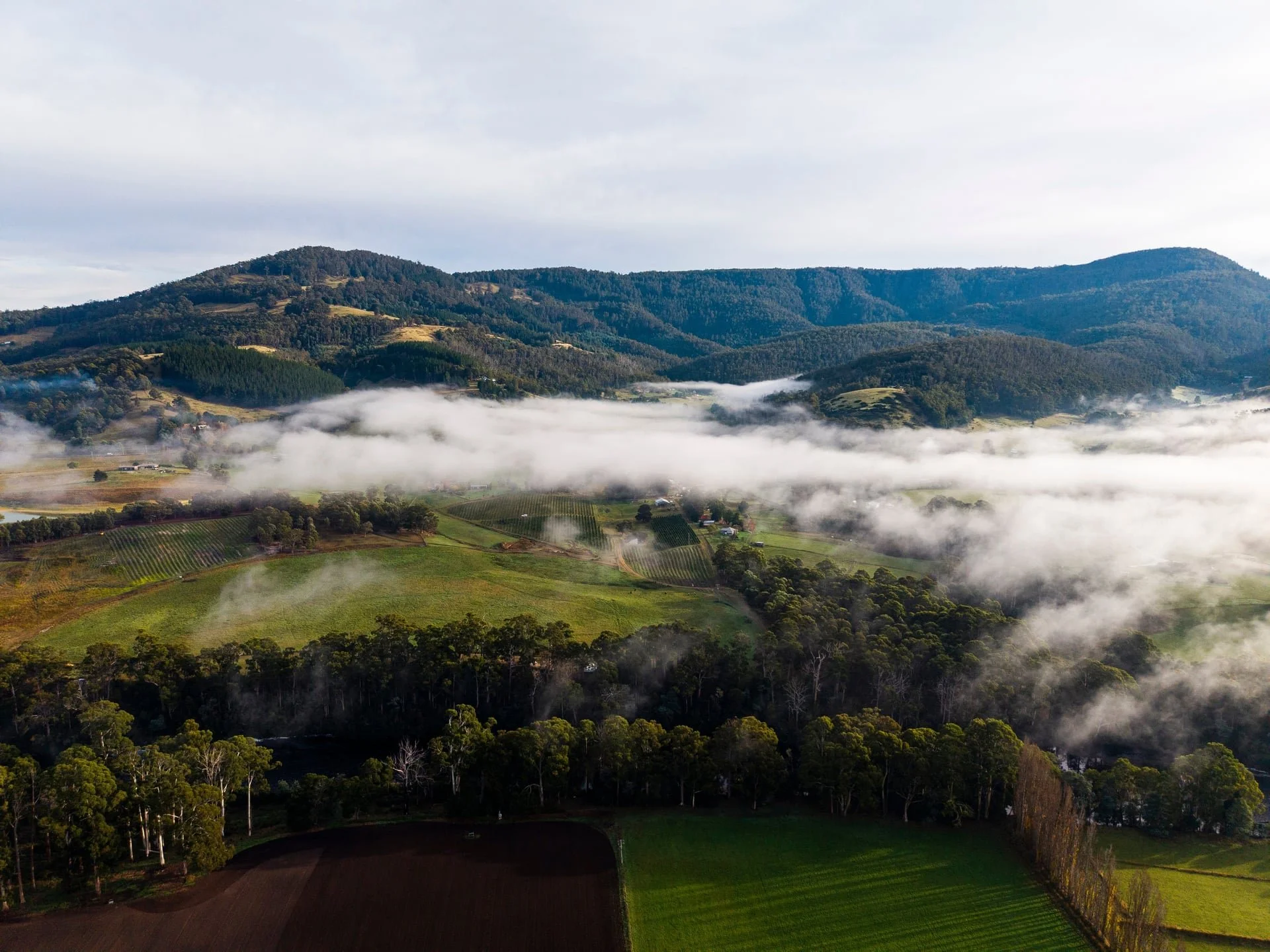 Huon_River_Downs_Brand_Shoot_Drone_12.jpg