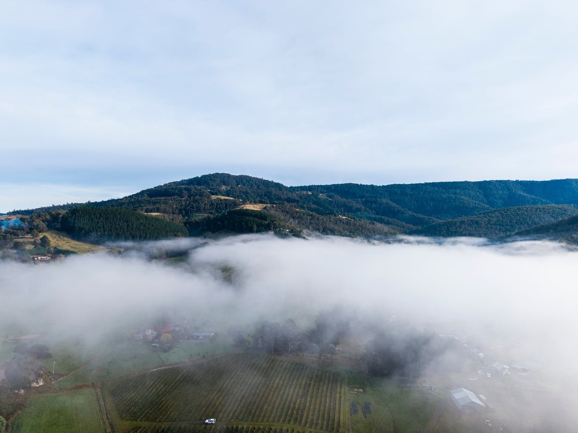 Huon_River_Downs_Brand_Shoot_Drone_22.jpg