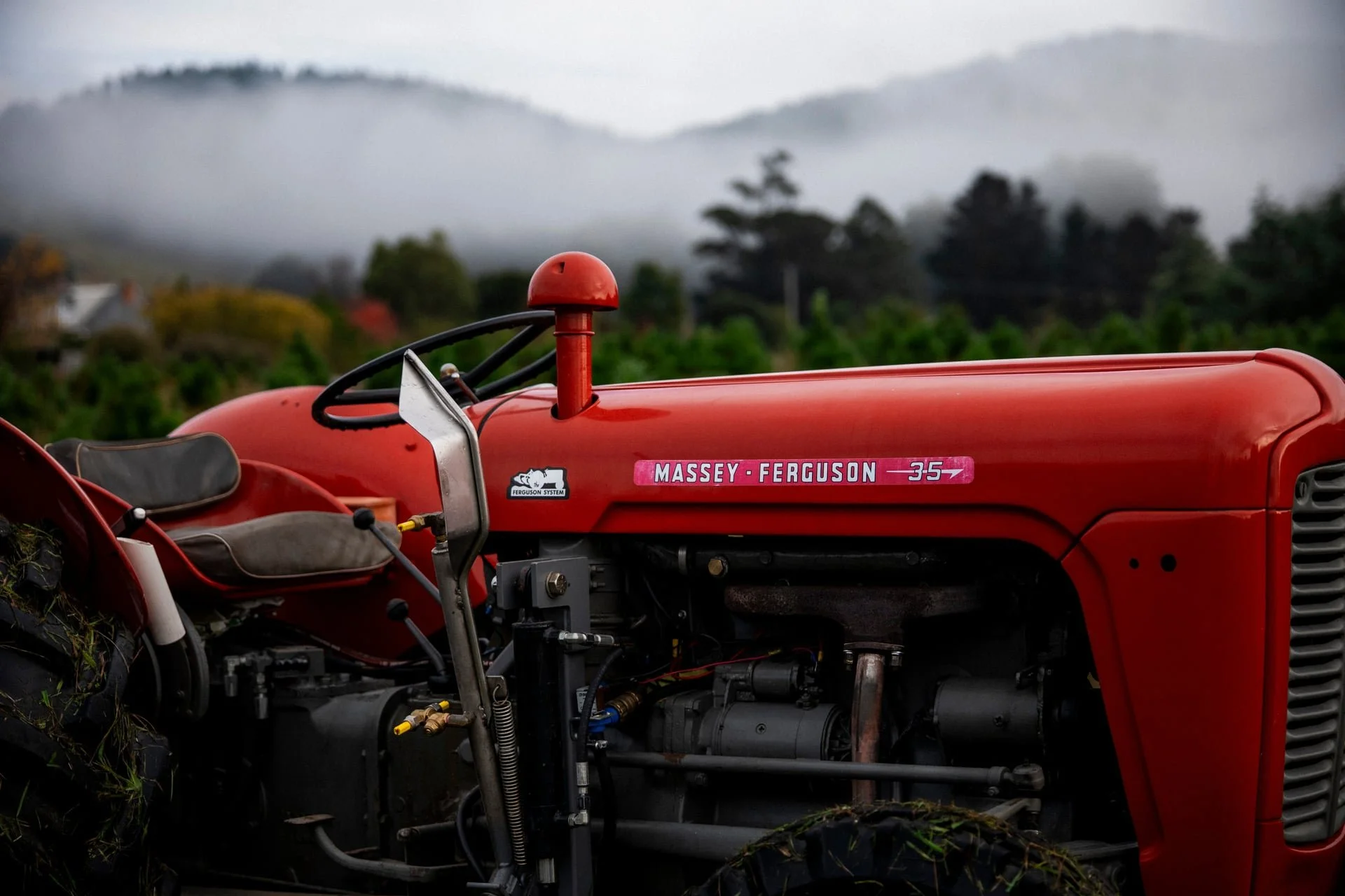 Huon_River_Downs_Brand_Shoot_94.jpg