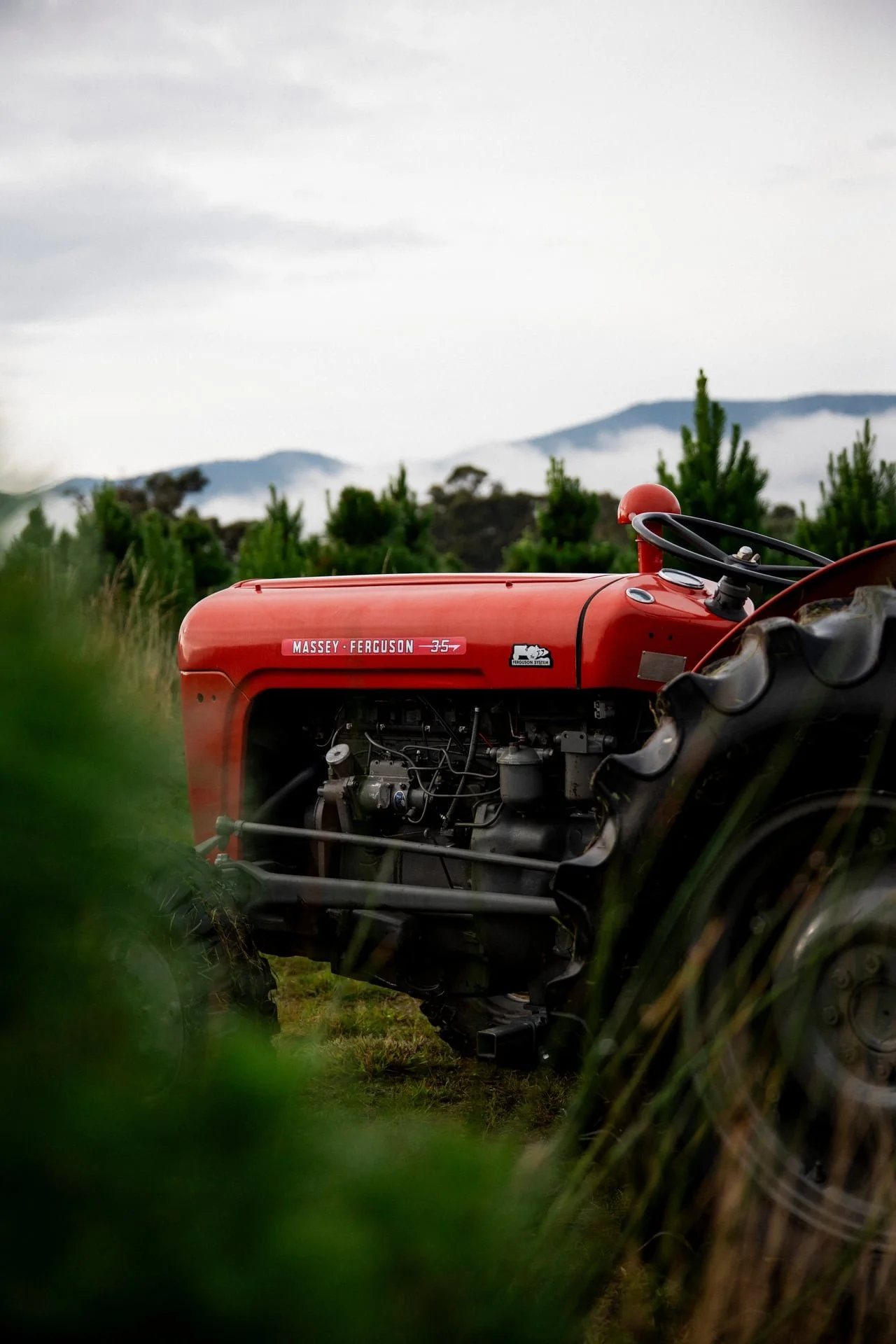 Huon_River_Downs_Brand_Shoot_99.jpg