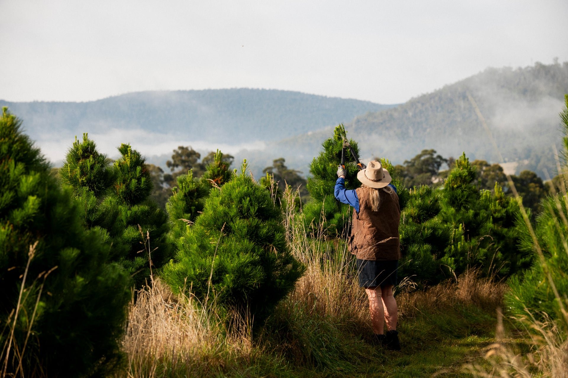 Huon_River_Downs_Brand_Shoot_174.jpg