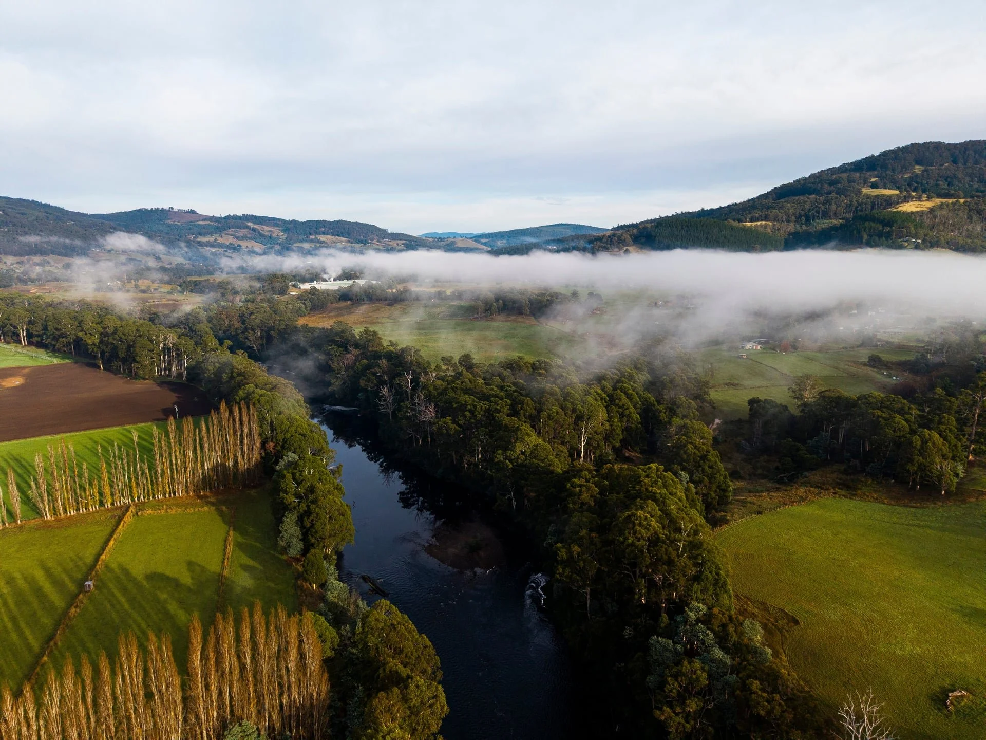 Huon_River_Downs_Brand_Shoot_Drone_11.jpg