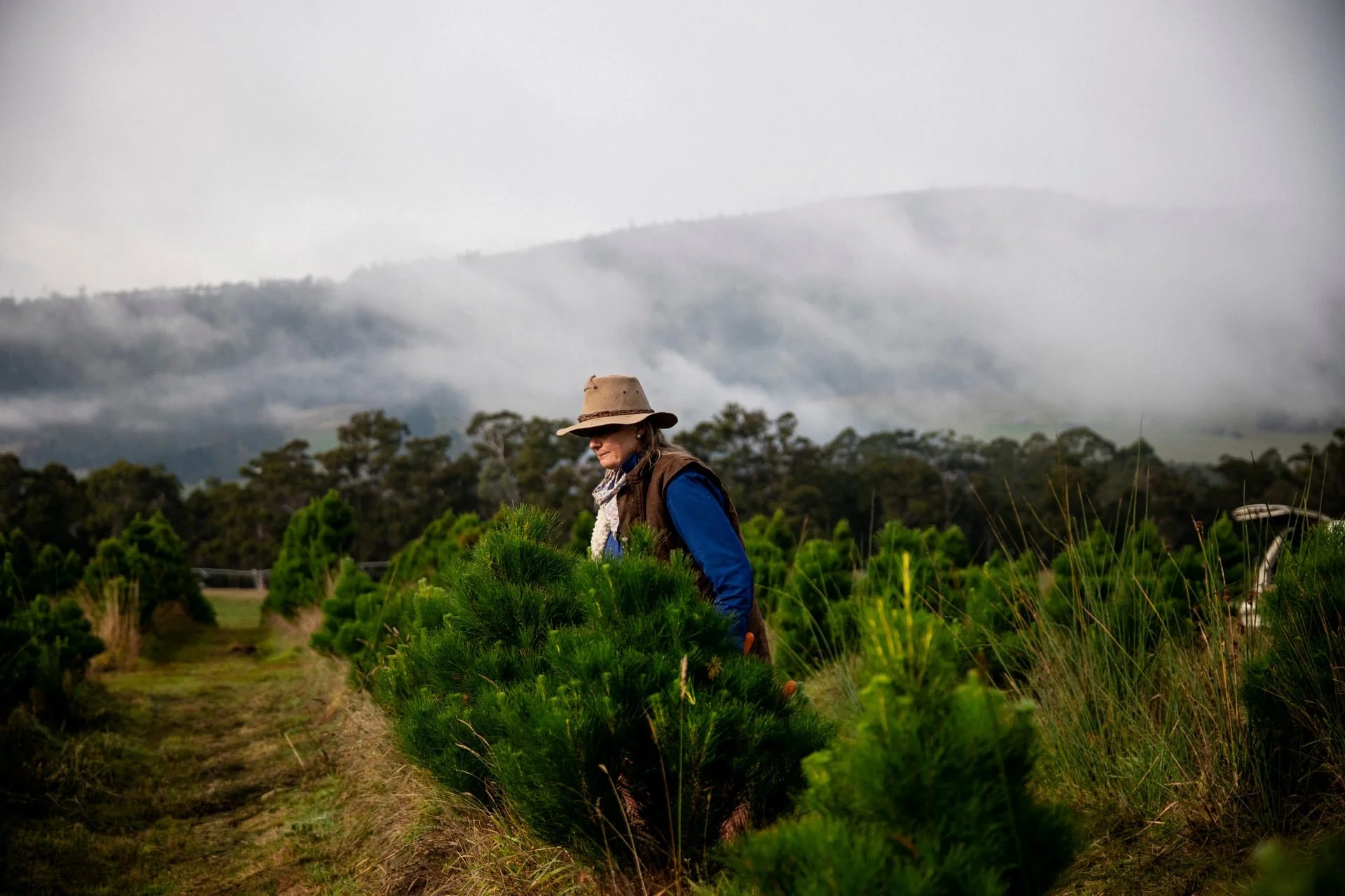 Huon_River_Downs_Brand_Shoot_136.jpg