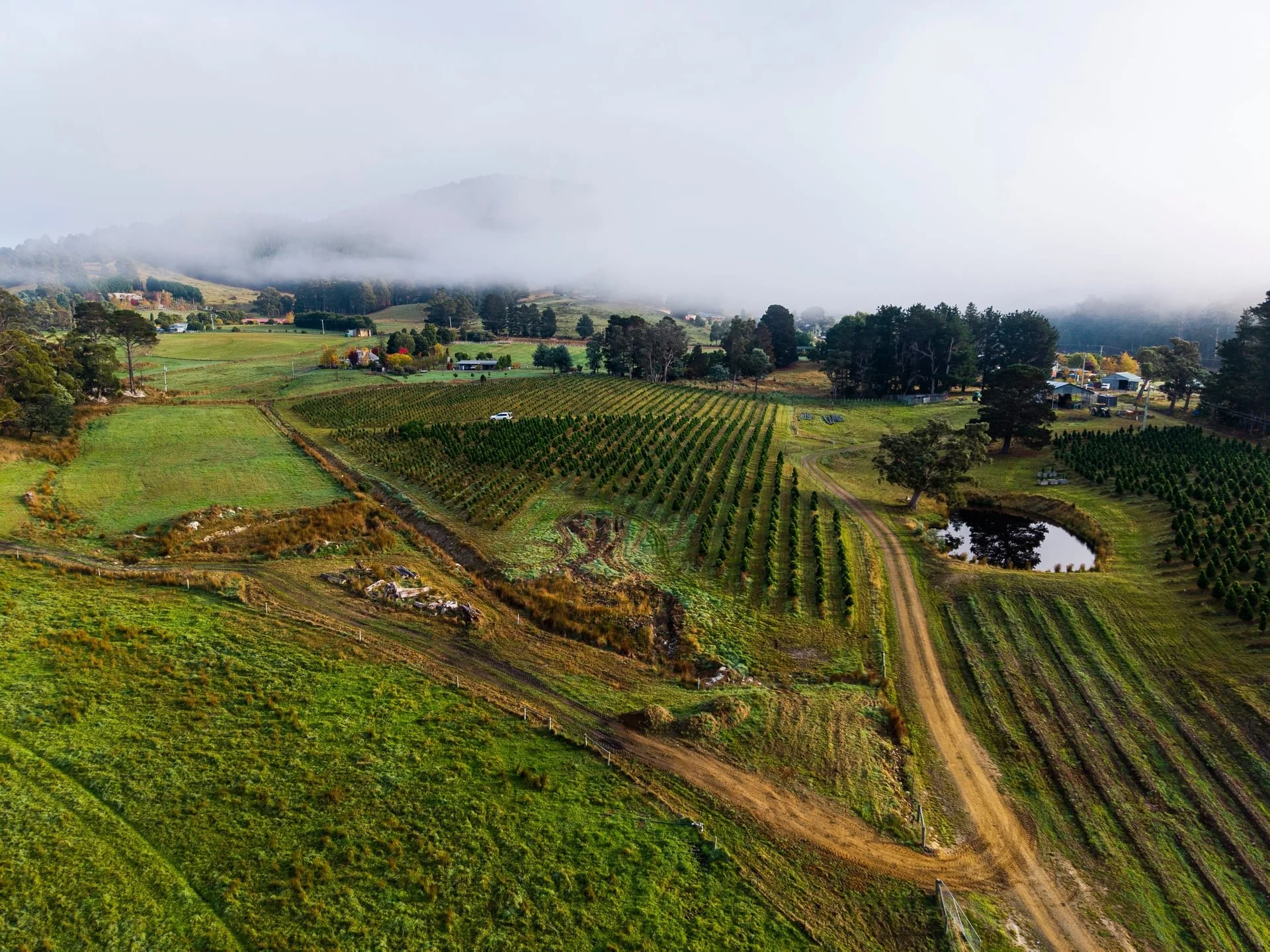 Huon_River_Downs_Brand_Shoot_Drone_17.jpg