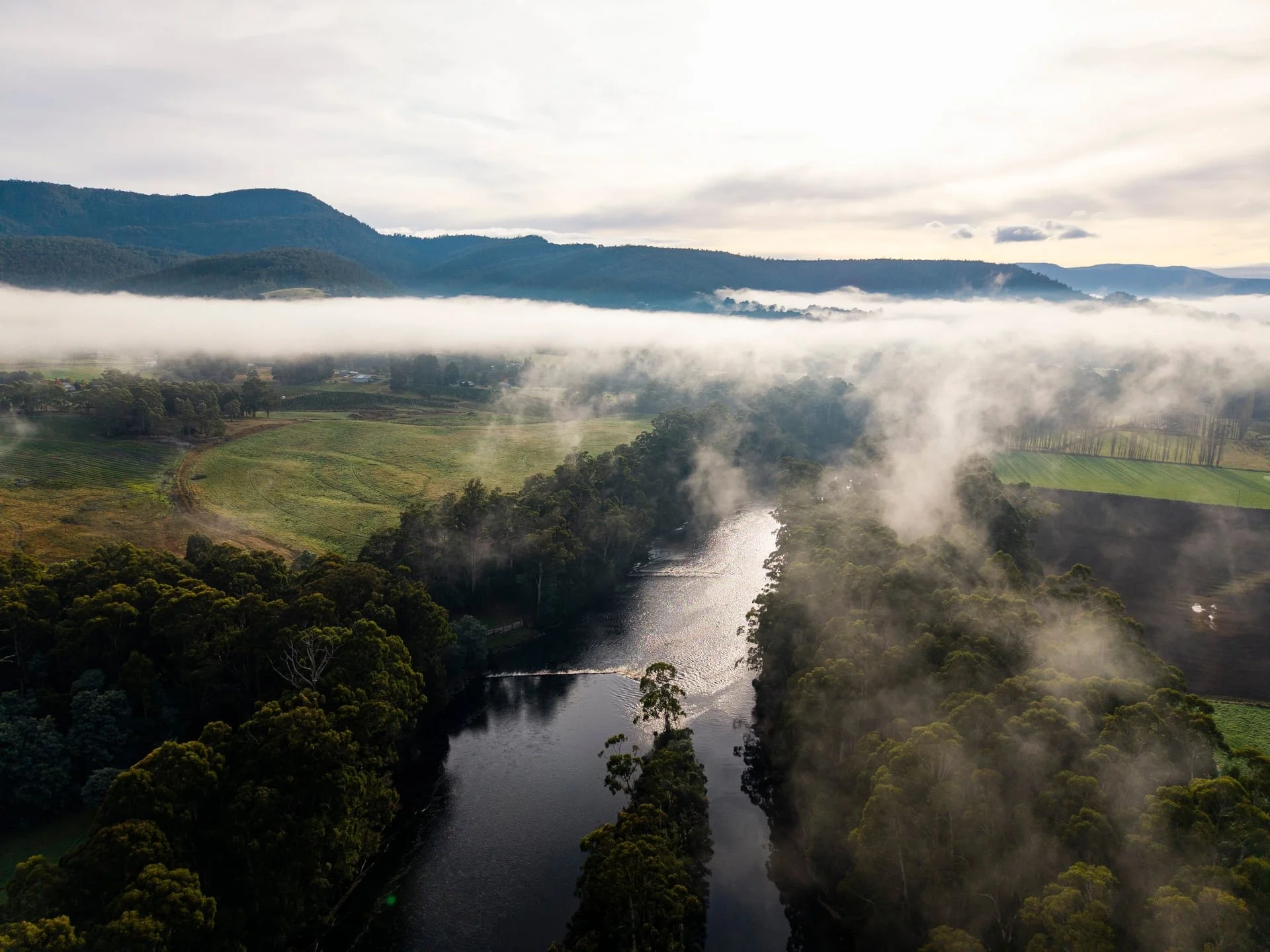 Huon_River_Downs_Brand_Shoot_Drone_9.jpg