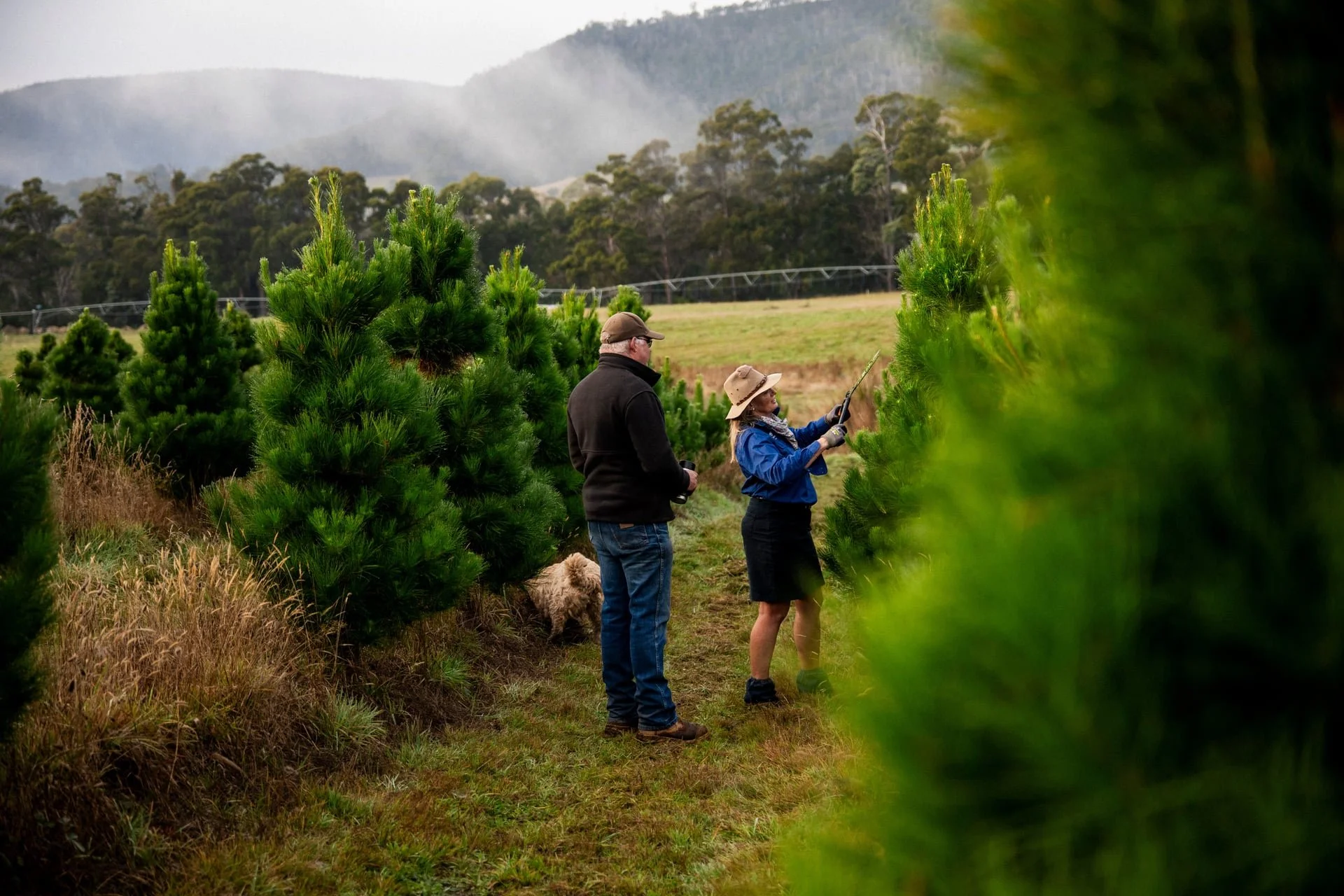 Huon_River_Downs_Brand_Shoot_73.jpg