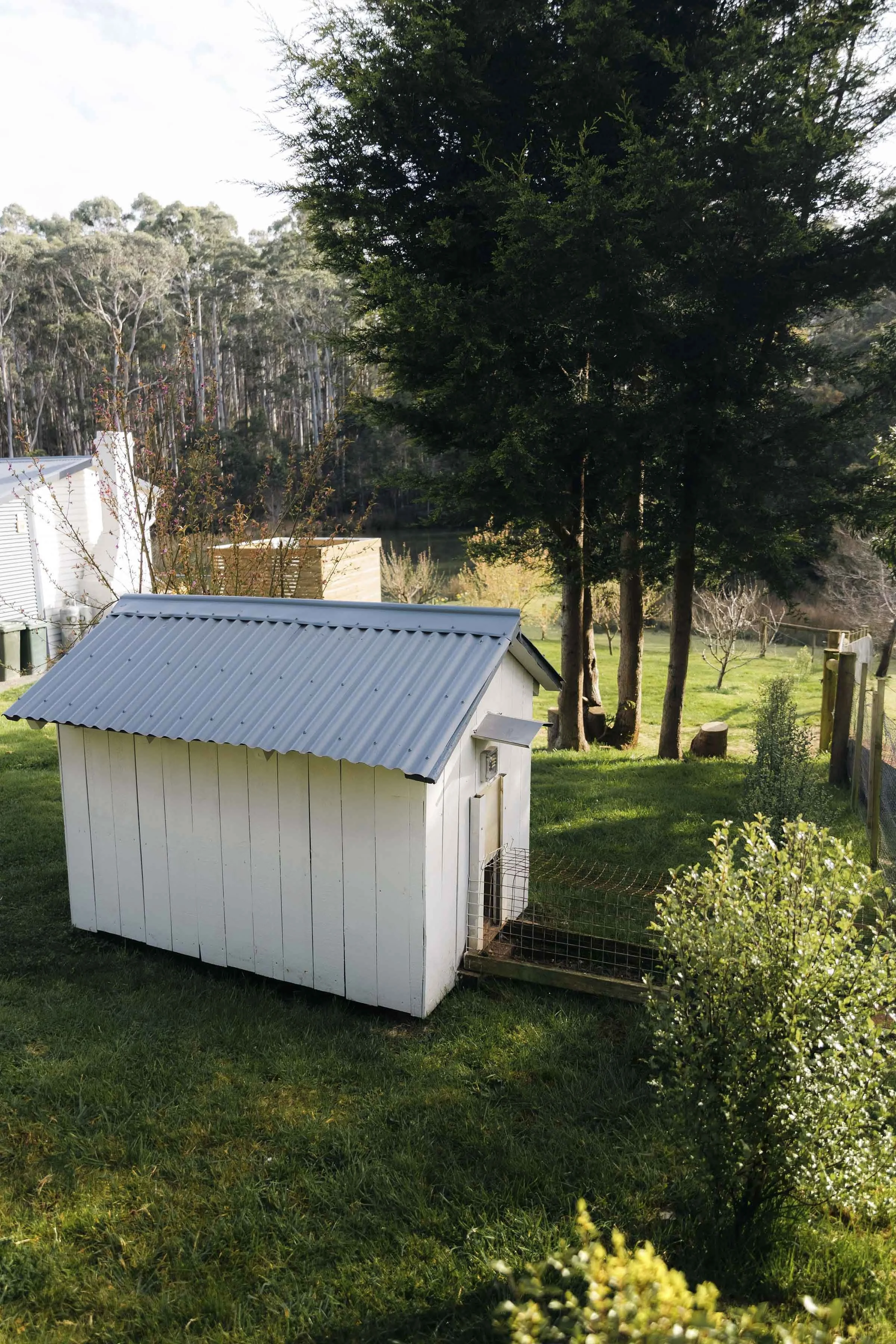 Small white shed with a corrugated metal roof and a fenced door, surrounded by green grass, trees, and bushes in a backyard.