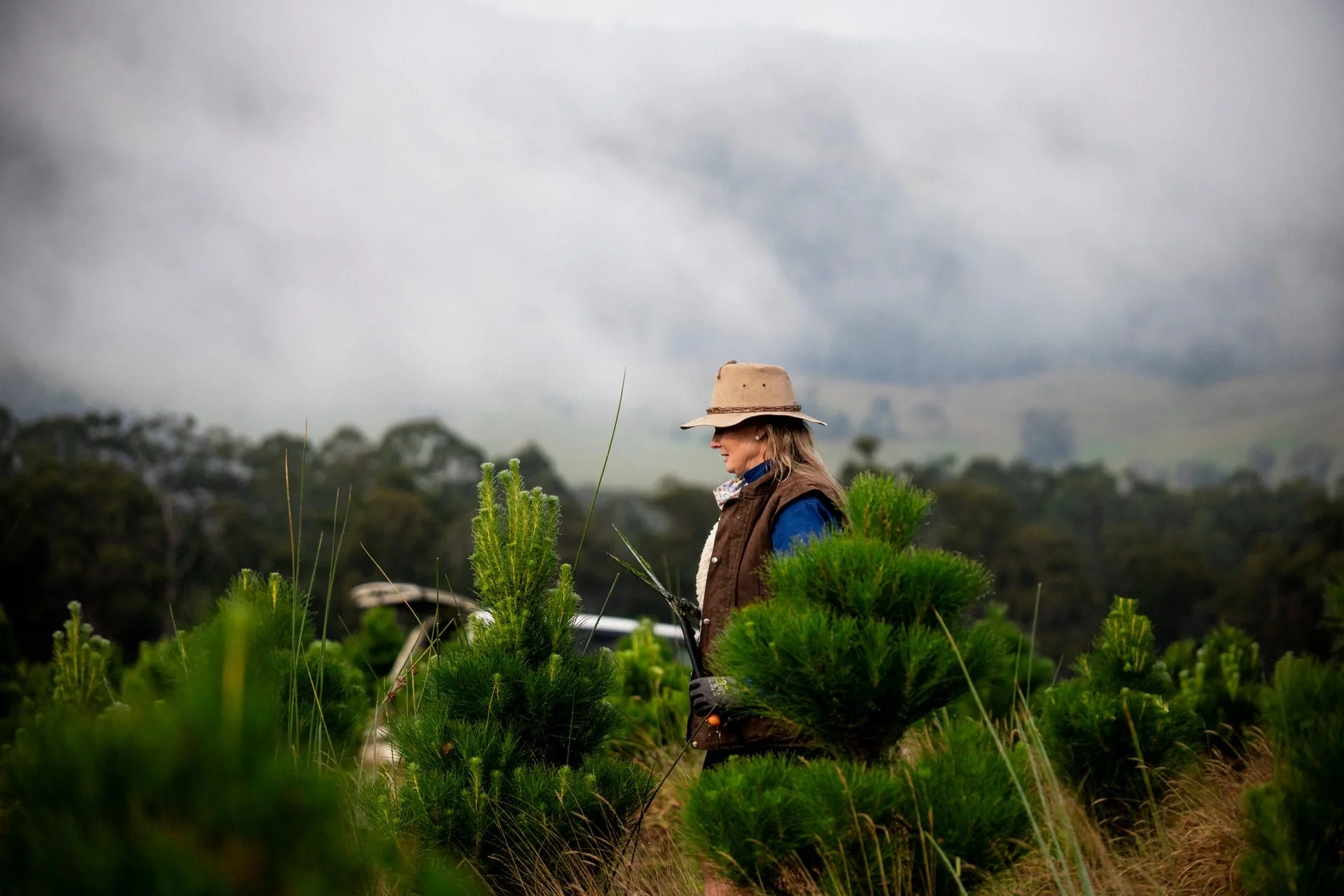 Huon_River_Downs_Brand_Shoot_131.jpg