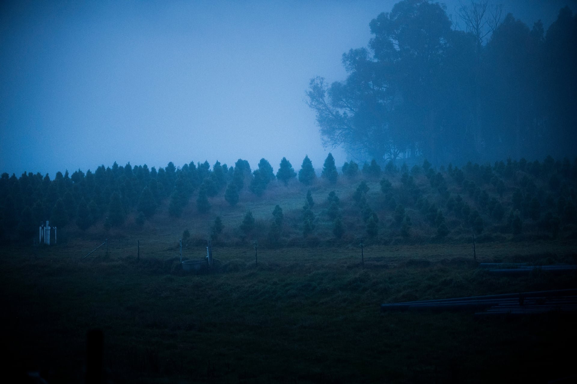Huon_River_Downs_Brand_Shoot.jpg